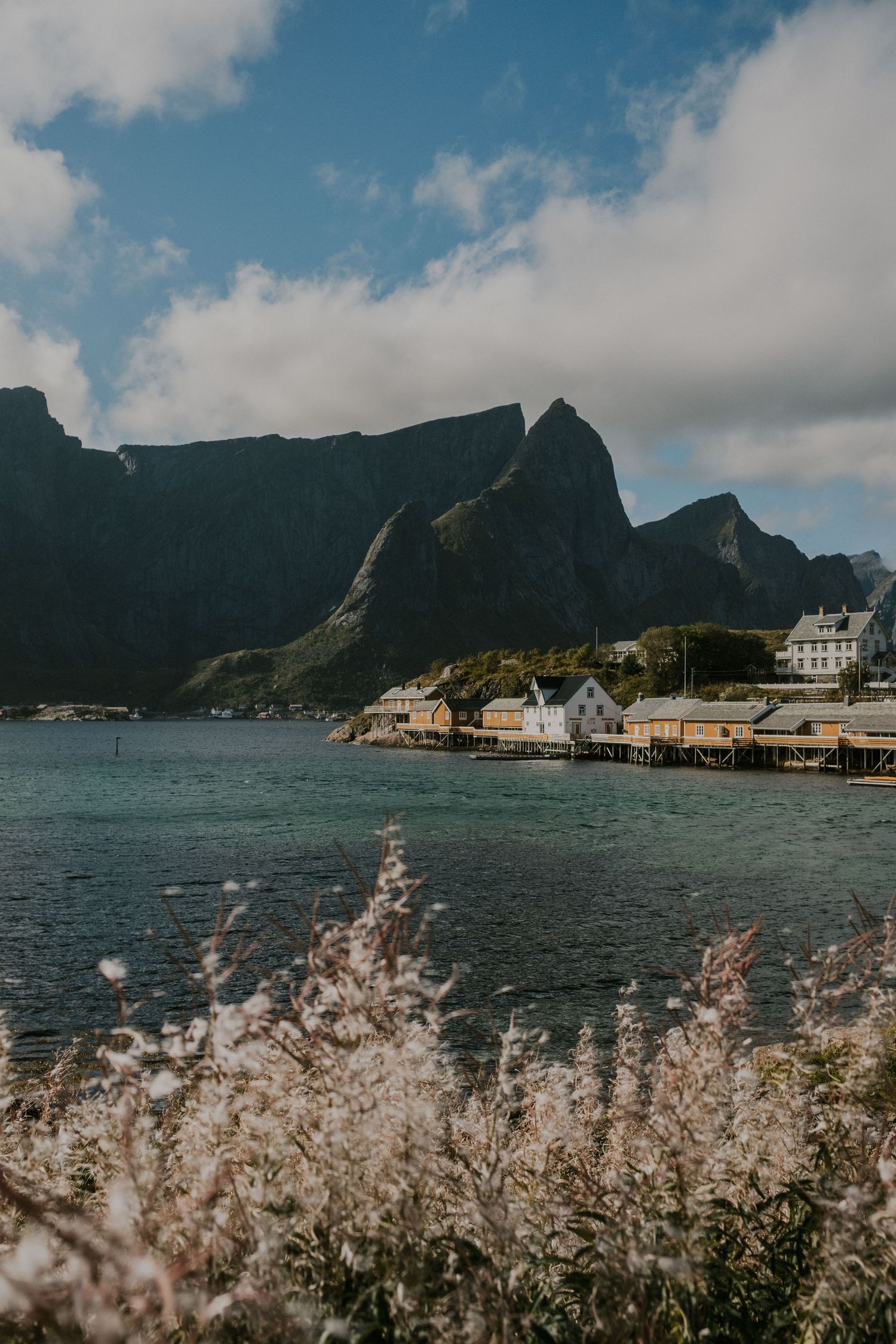 Coastal houses along Norwegian fjord with towering mountain peaks and wild grasses in foreground.