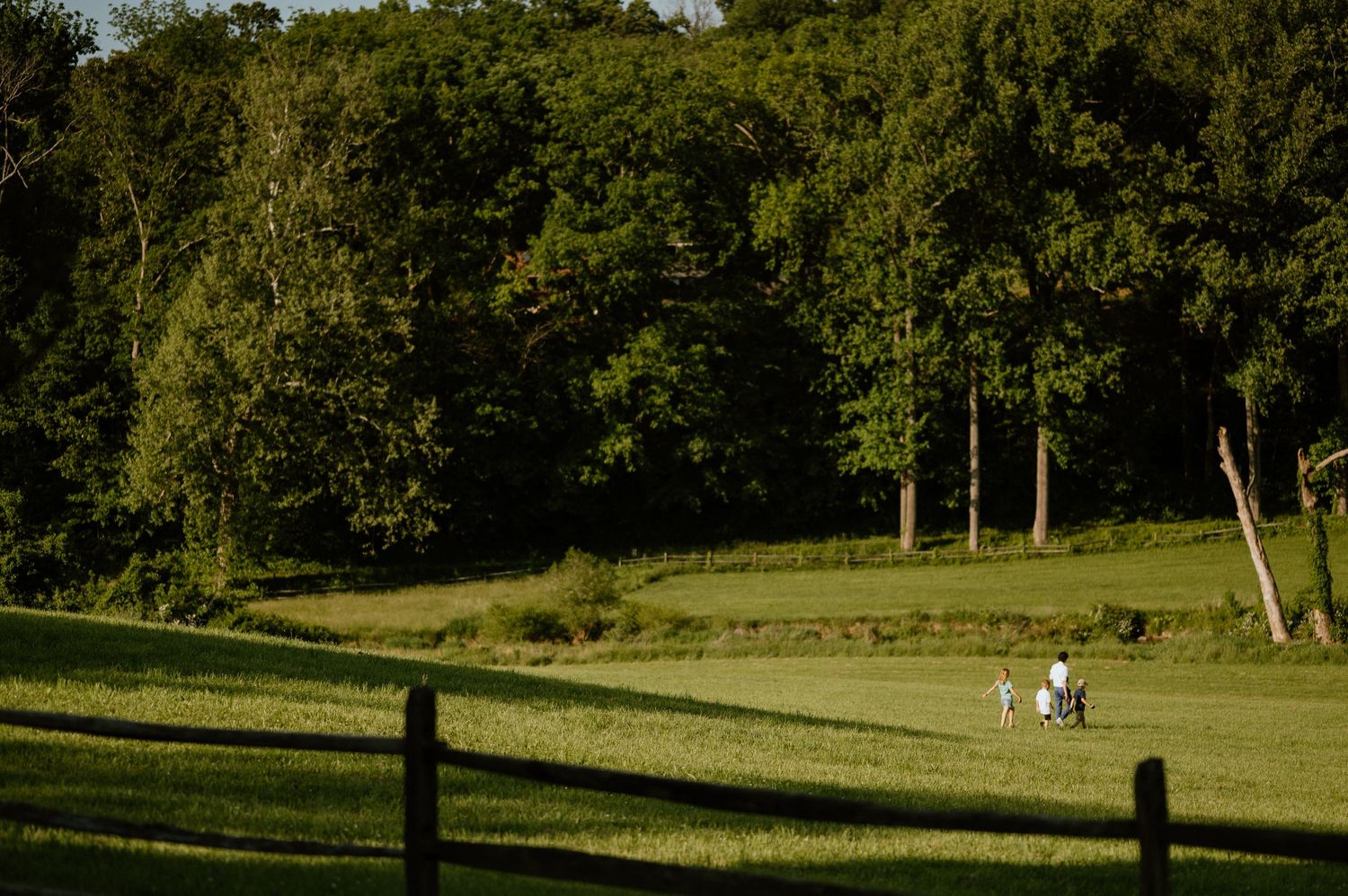 A serene pastoral landscape with green rolling hills and trees in golden afternoon light.
