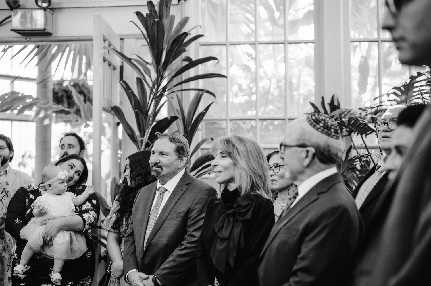 Wedding guests gather in a sunlit greenhouse conservatory with tropical plants.