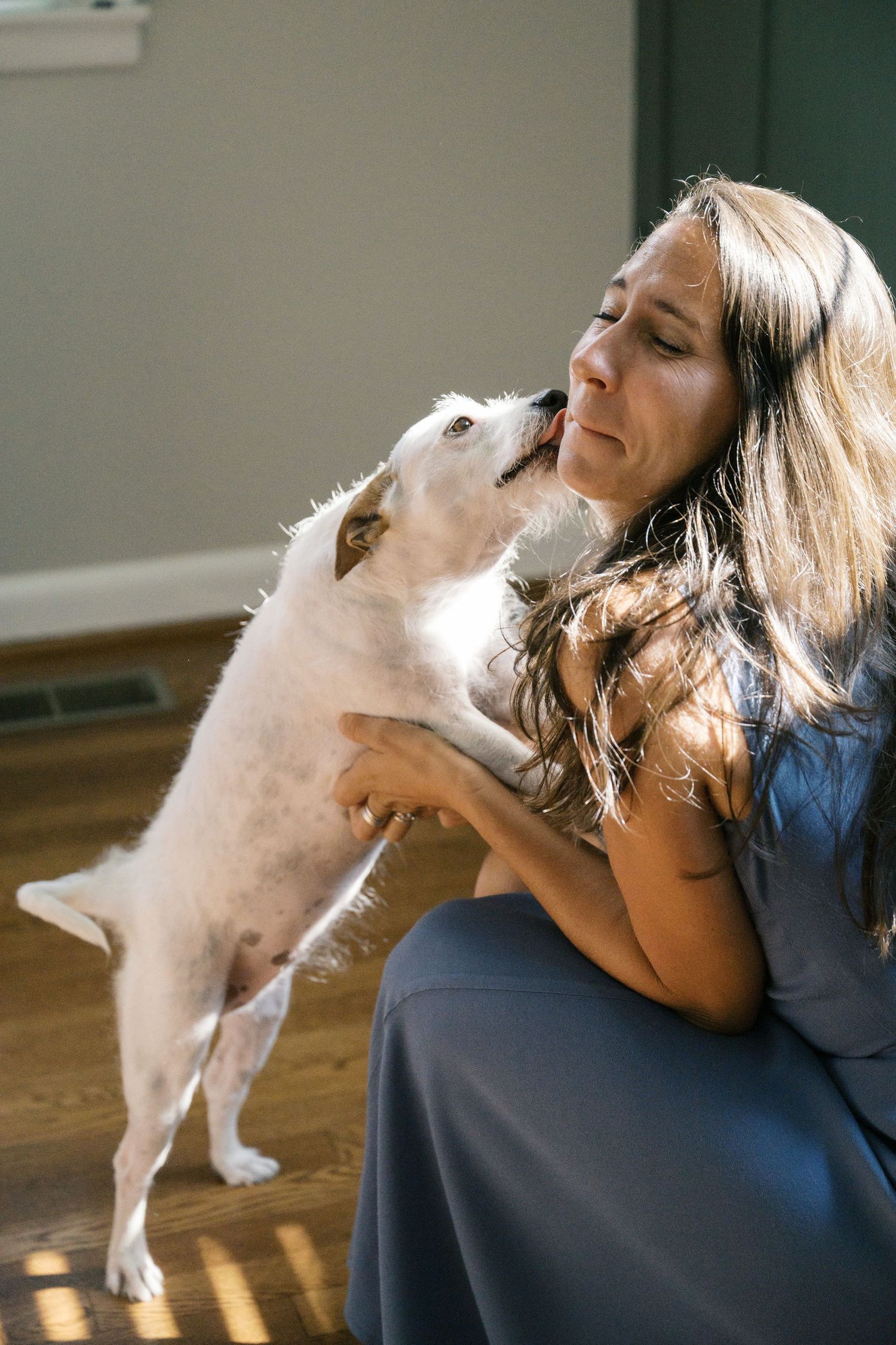 Small white dog giving kisses to a person with long brown hair seated indoors in blue dress.