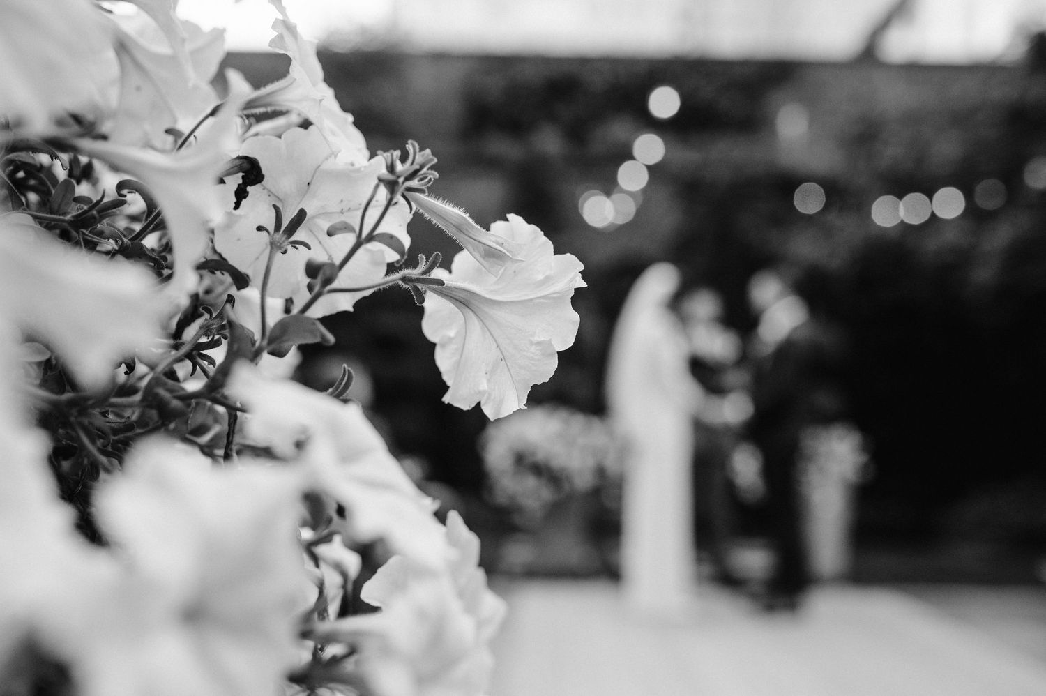 Black and white photograph of white flowers with blurred background focusing on a wedding ceremony.