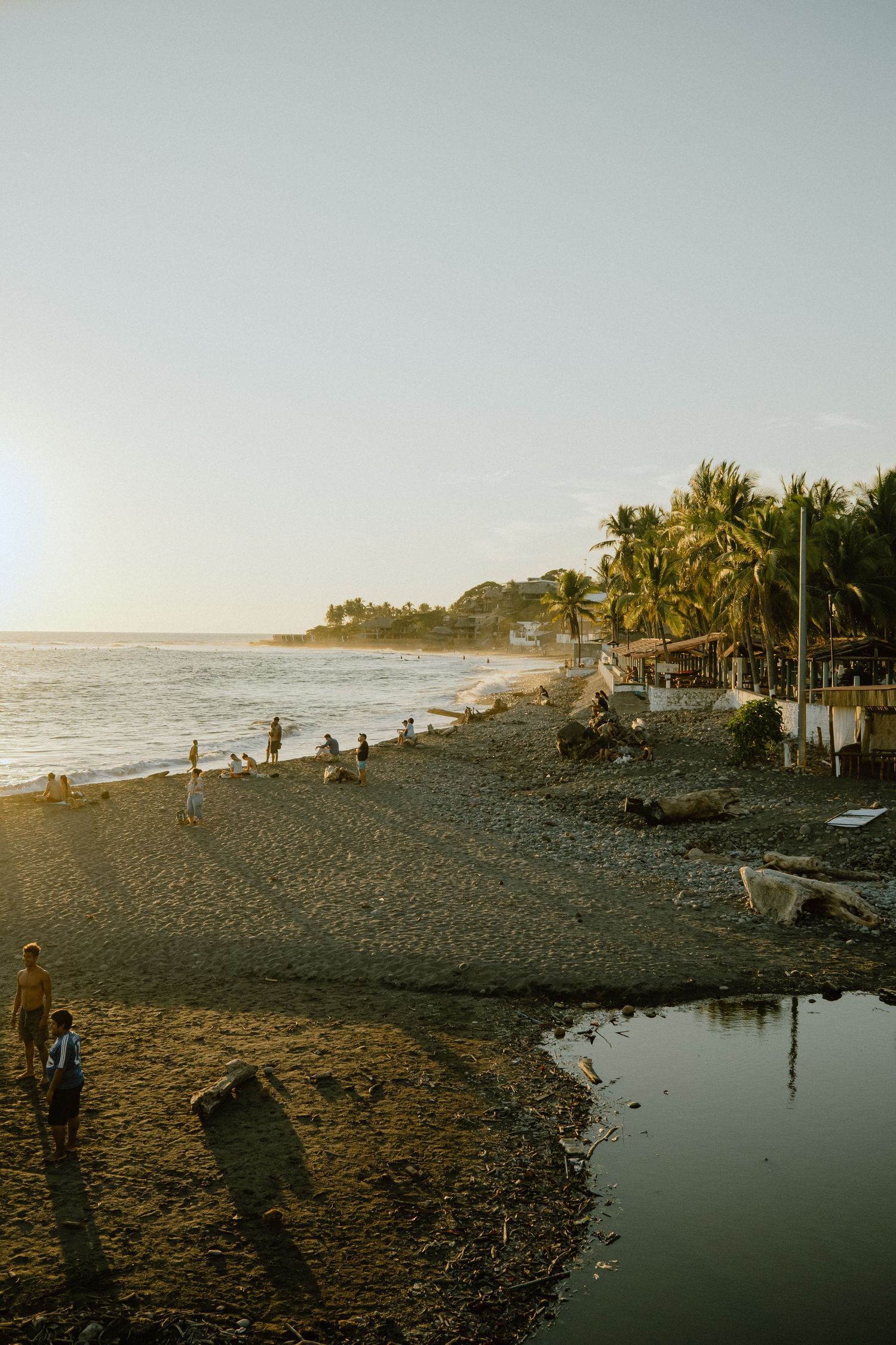 Palm-lined beach at sunset with people walking along the dark sandy shoreline.