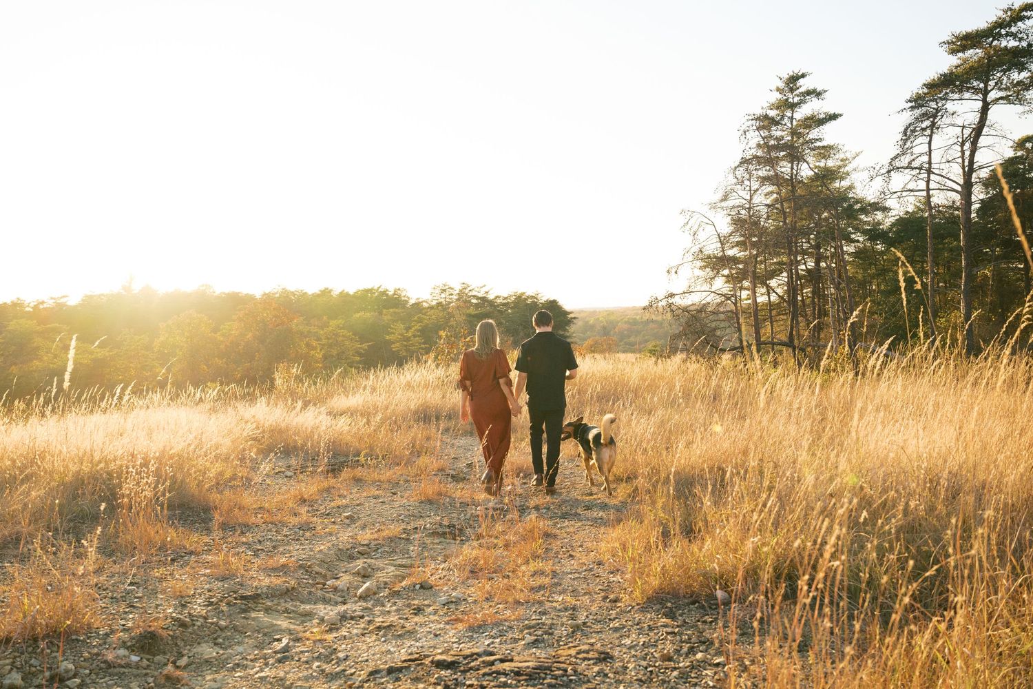 Two silhouettes walk with a dog along a dirt trail through golden grass at sunset while tall pine trees line the horizon.