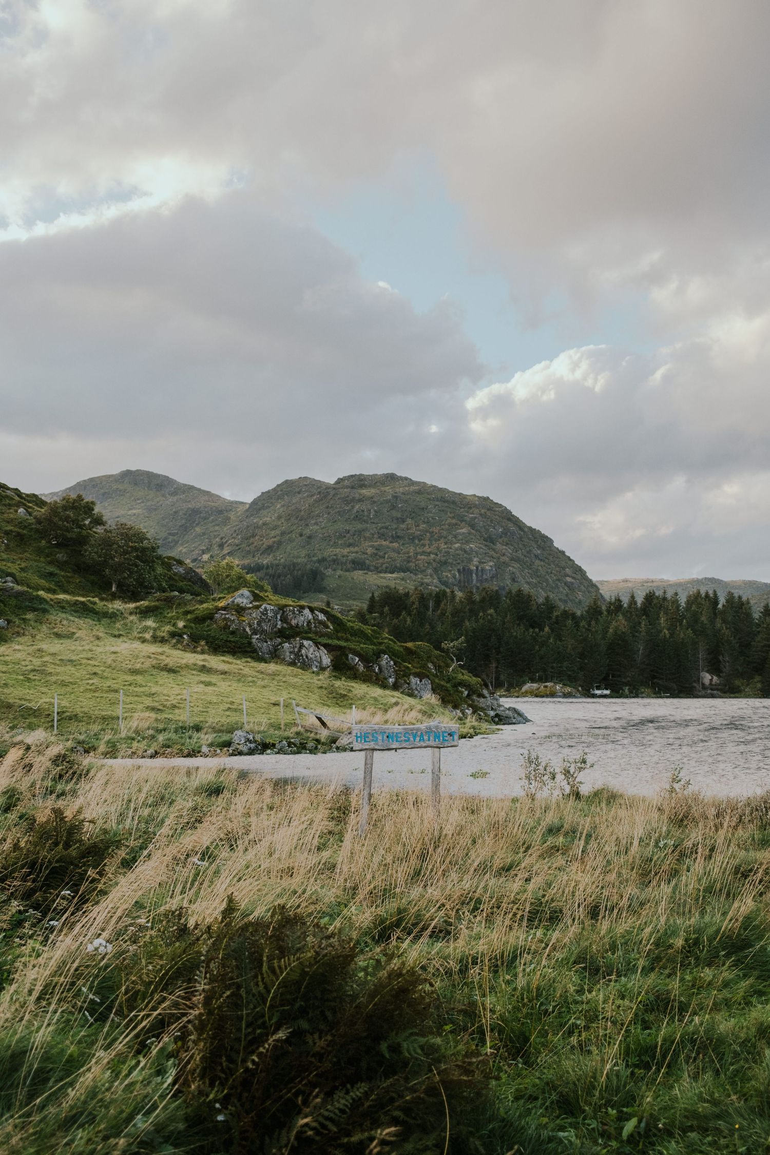 Coastal mountain landscape with windswept grasses and a winding road along the shoreline.