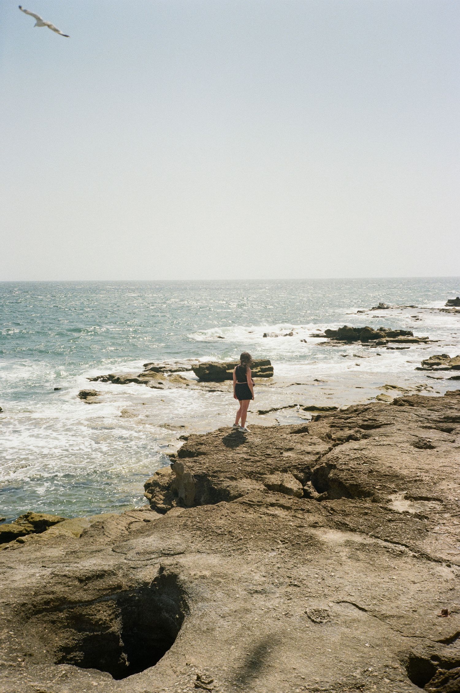 Rugged coastal rocks with seabird flying over the ocean waves.