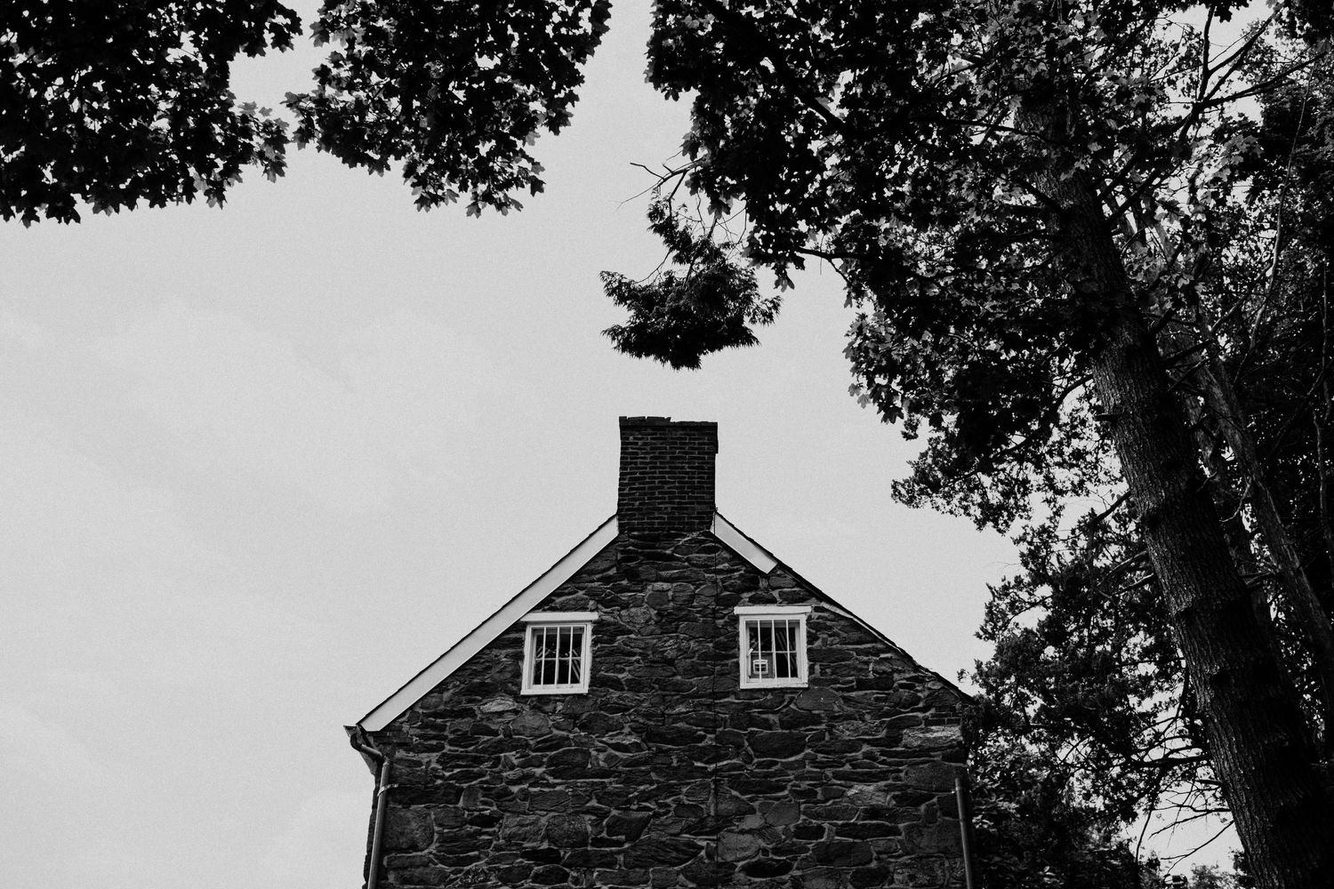 A dramatic black and white view of a stone house with dormer windows framed by tree branches.