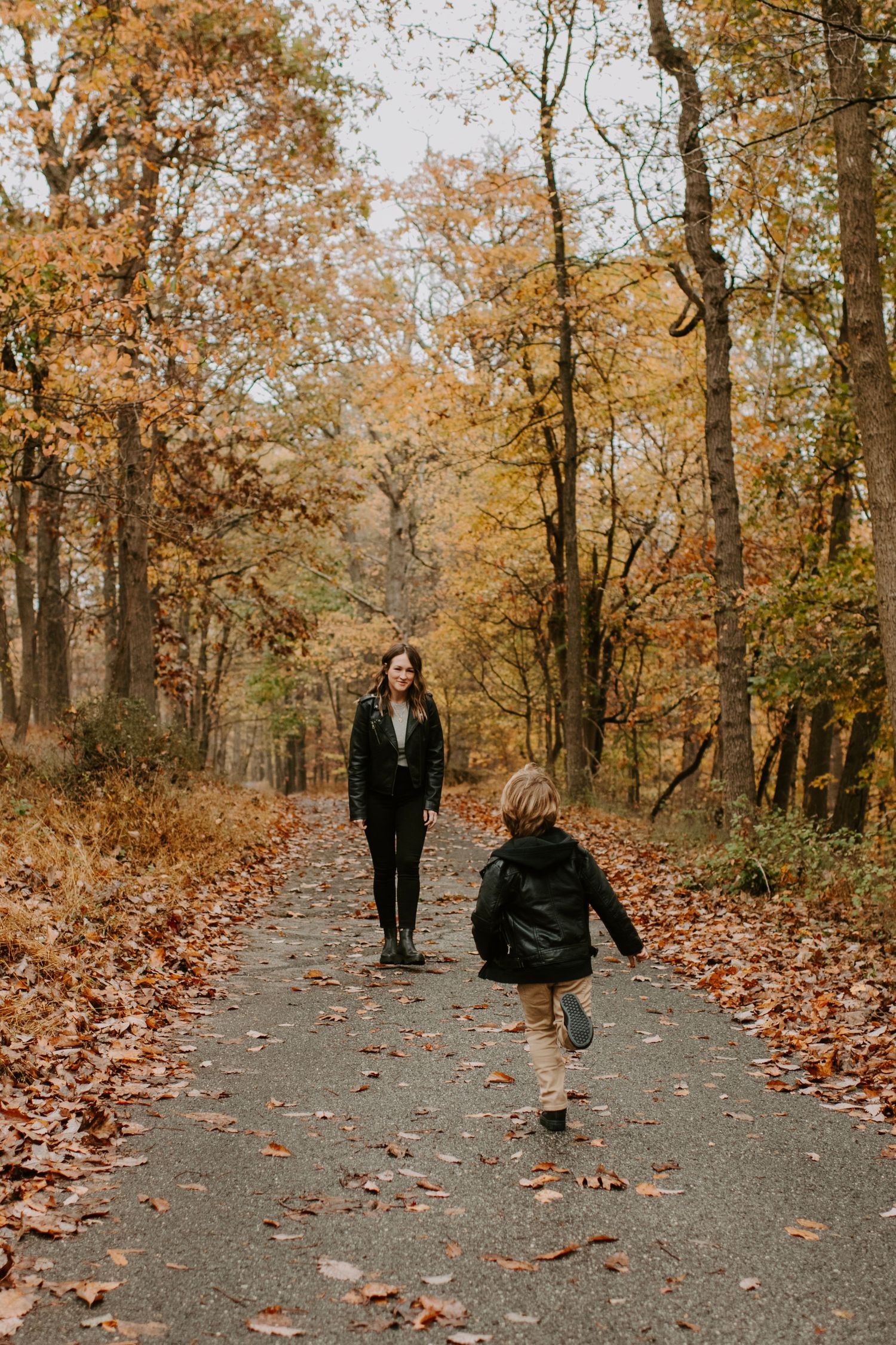 A walk through a fall forest path with golden leaves scattered on the ground.