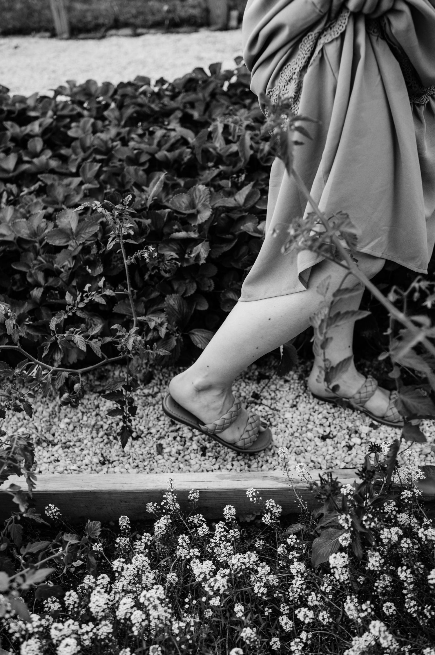 Black and white image of dress hem and shoes standing among garden flowers.