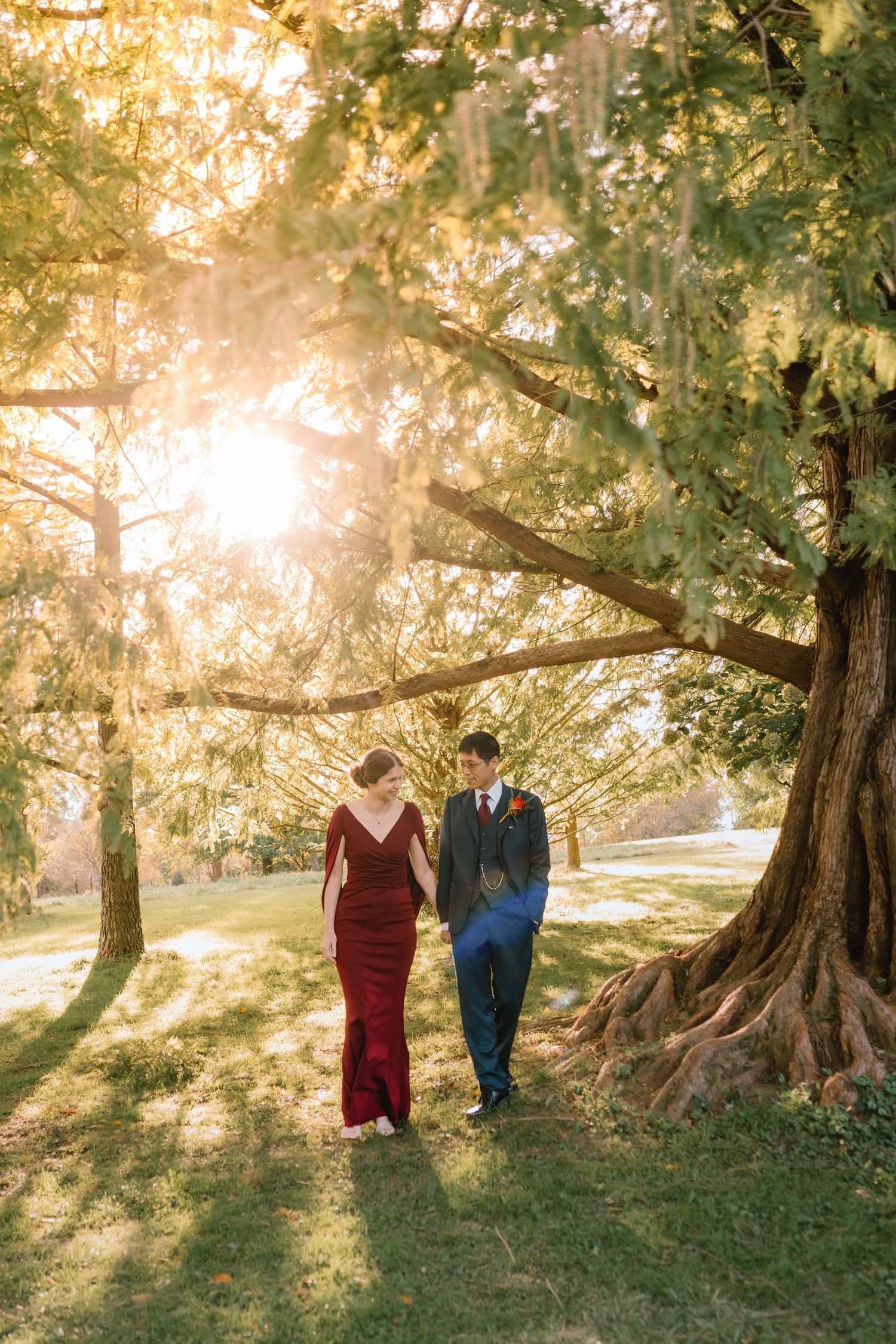 Couple walking under golden sunlit trees, woman in red gown and man in blue suit, romantic outdoor portrait.