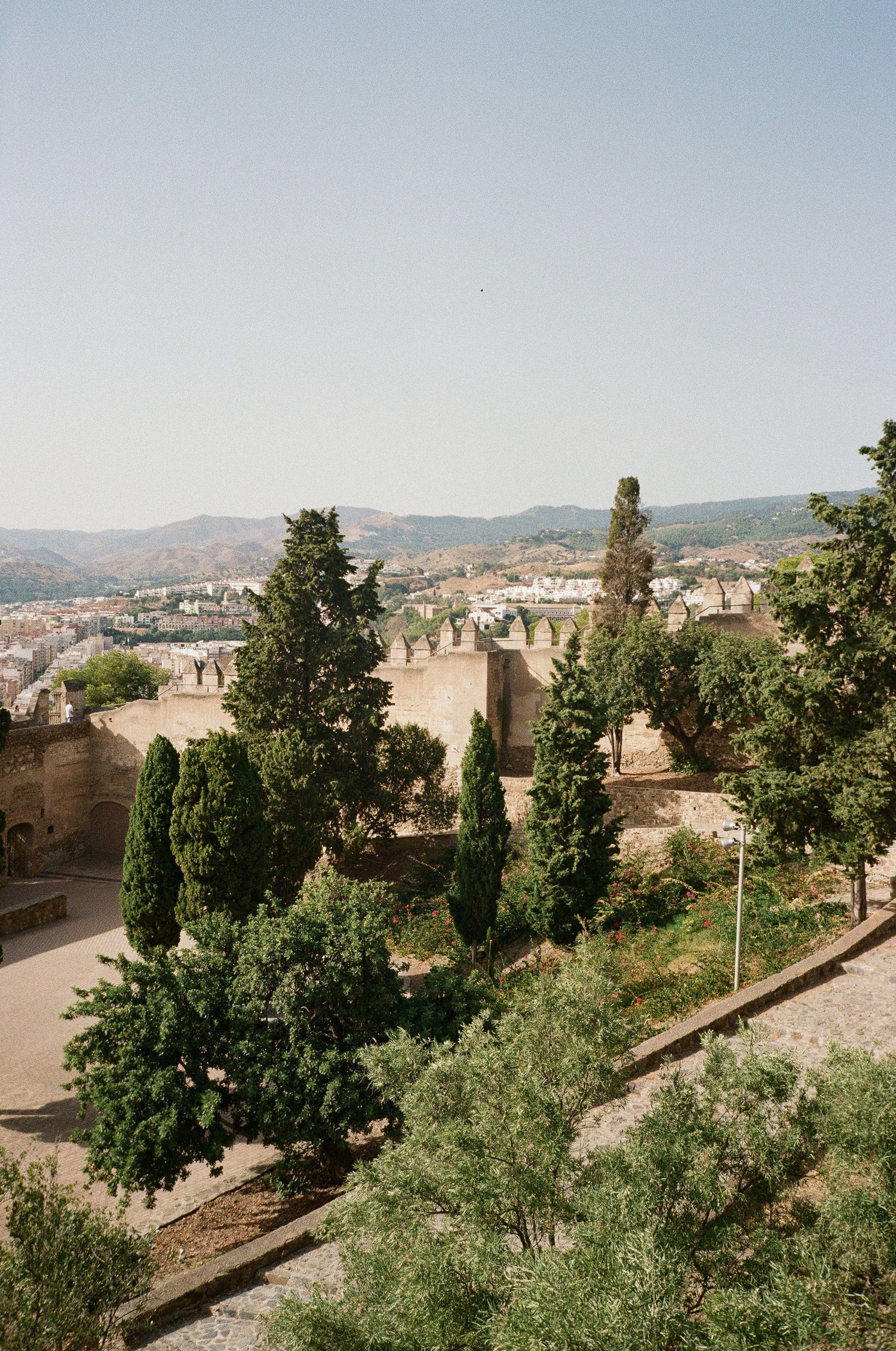 Hilltop garden path lined with cypress trees overlooking ancient city walls and distant mountains.