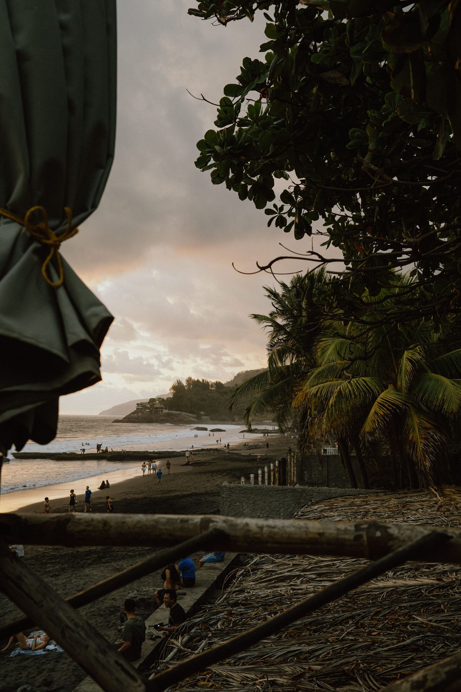 Tropical beach at sunset framed by palm trees and canvas awning.