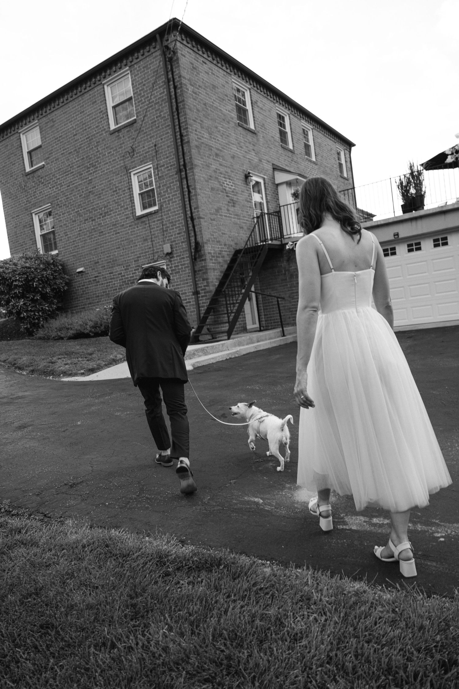 A couple walking on a grassy slope with bride in white dress and their dog in black and white.