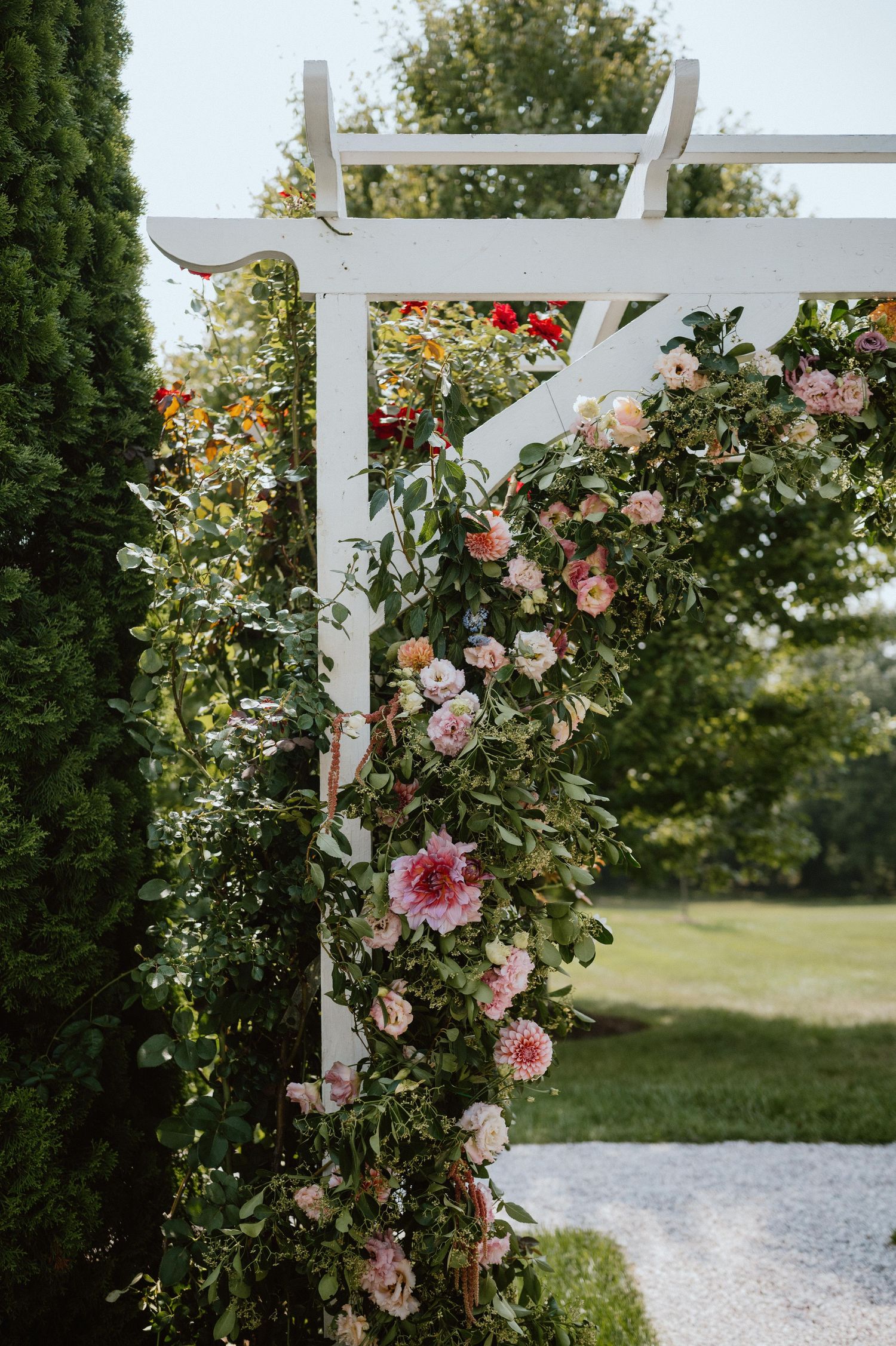 A white garden arbor decorated with climbing pink roses and flowering vines.