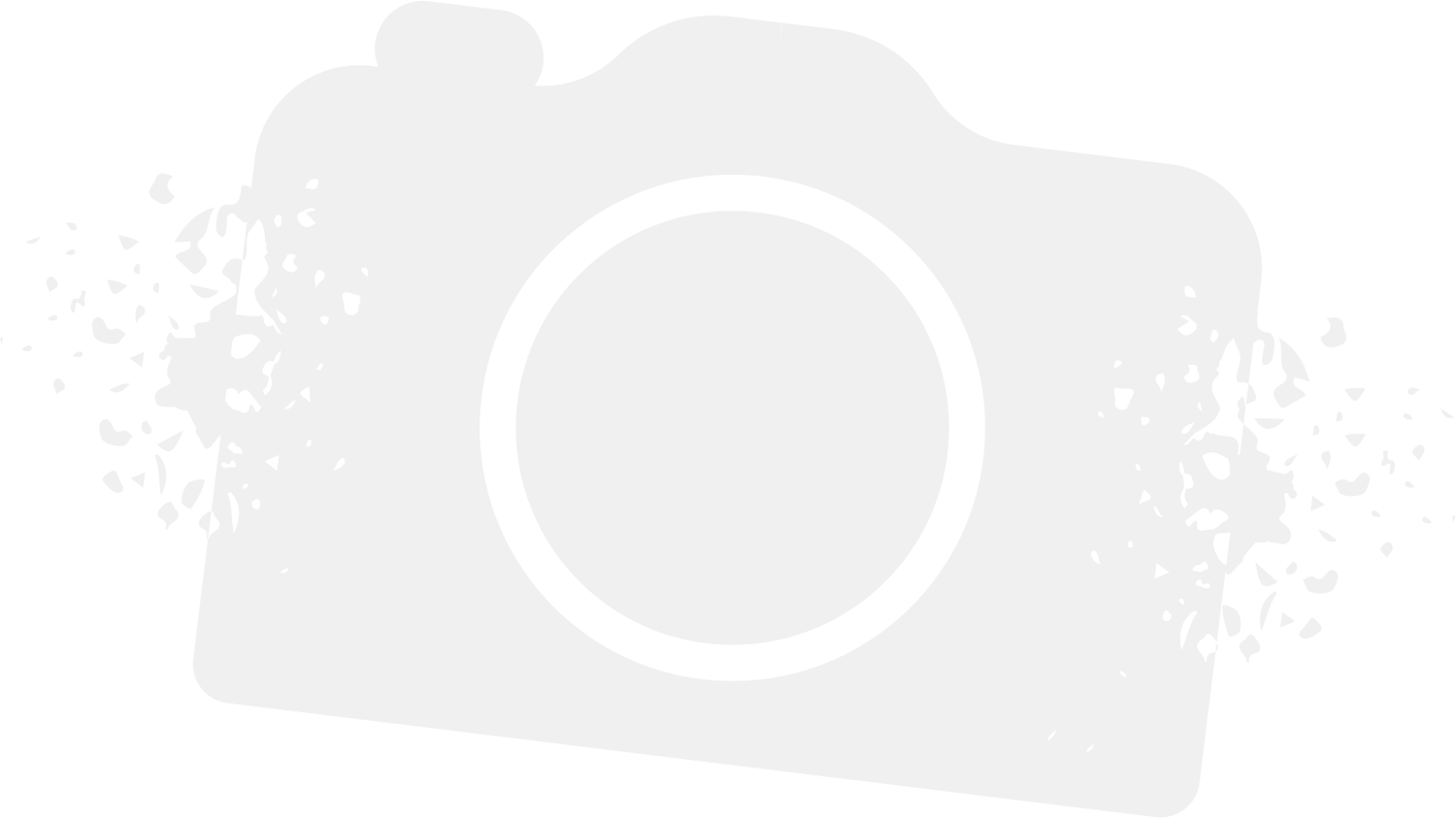 assest-19