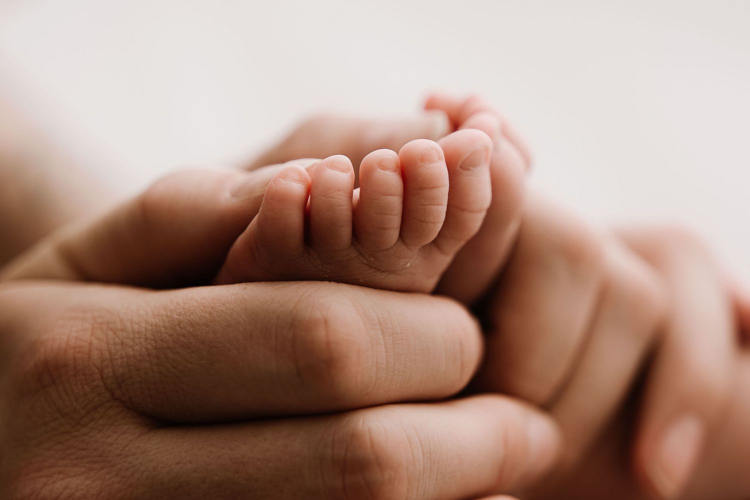 Little Moments Photography Premium Babybauch und Baby Fotografin Stein am Rhein