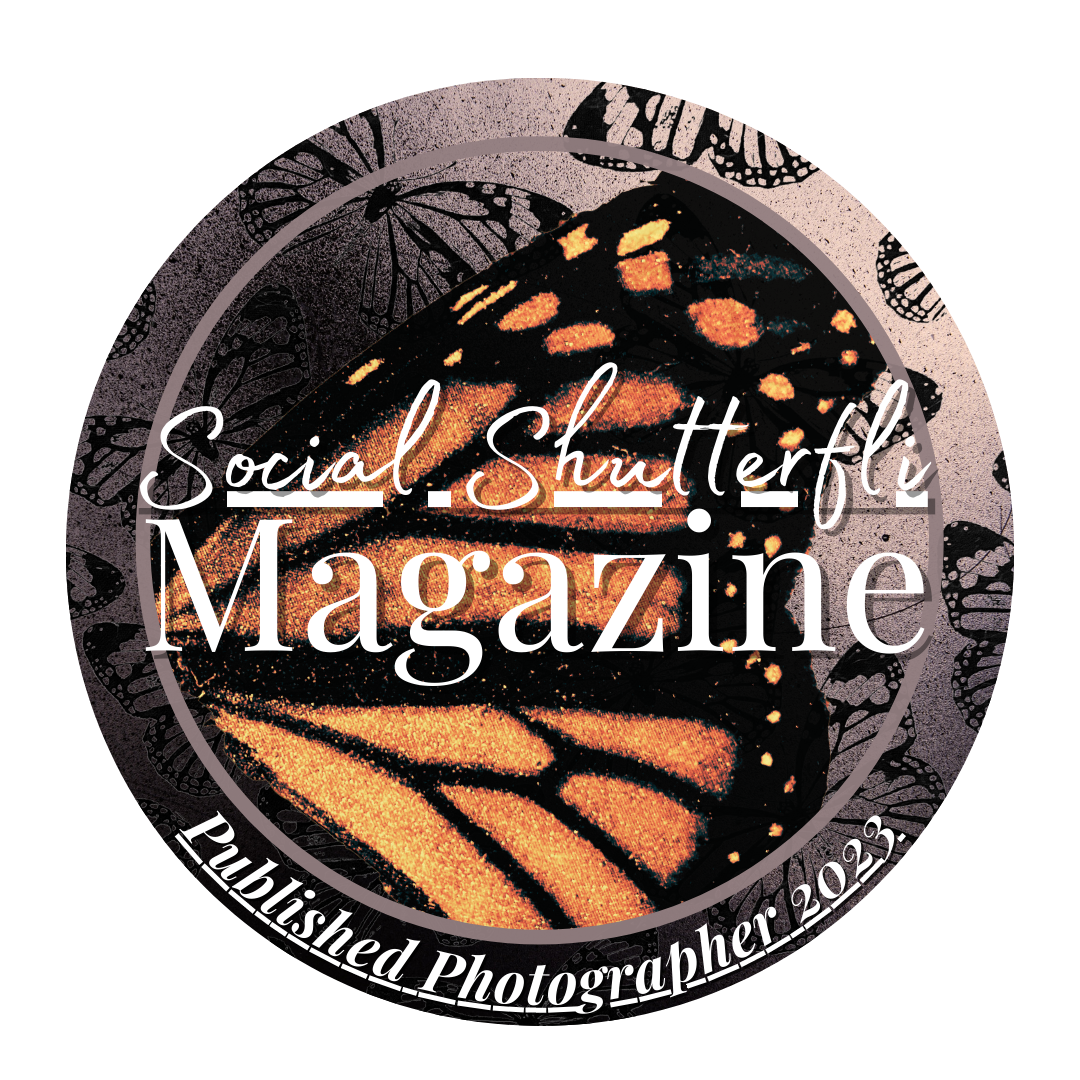 Circular logo design for Social Butterfly Magazine with monarch wing pattern and text overlay.