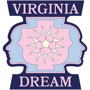 Virginia Dream sports team logo featuring pink sun emblem on navy blue background.