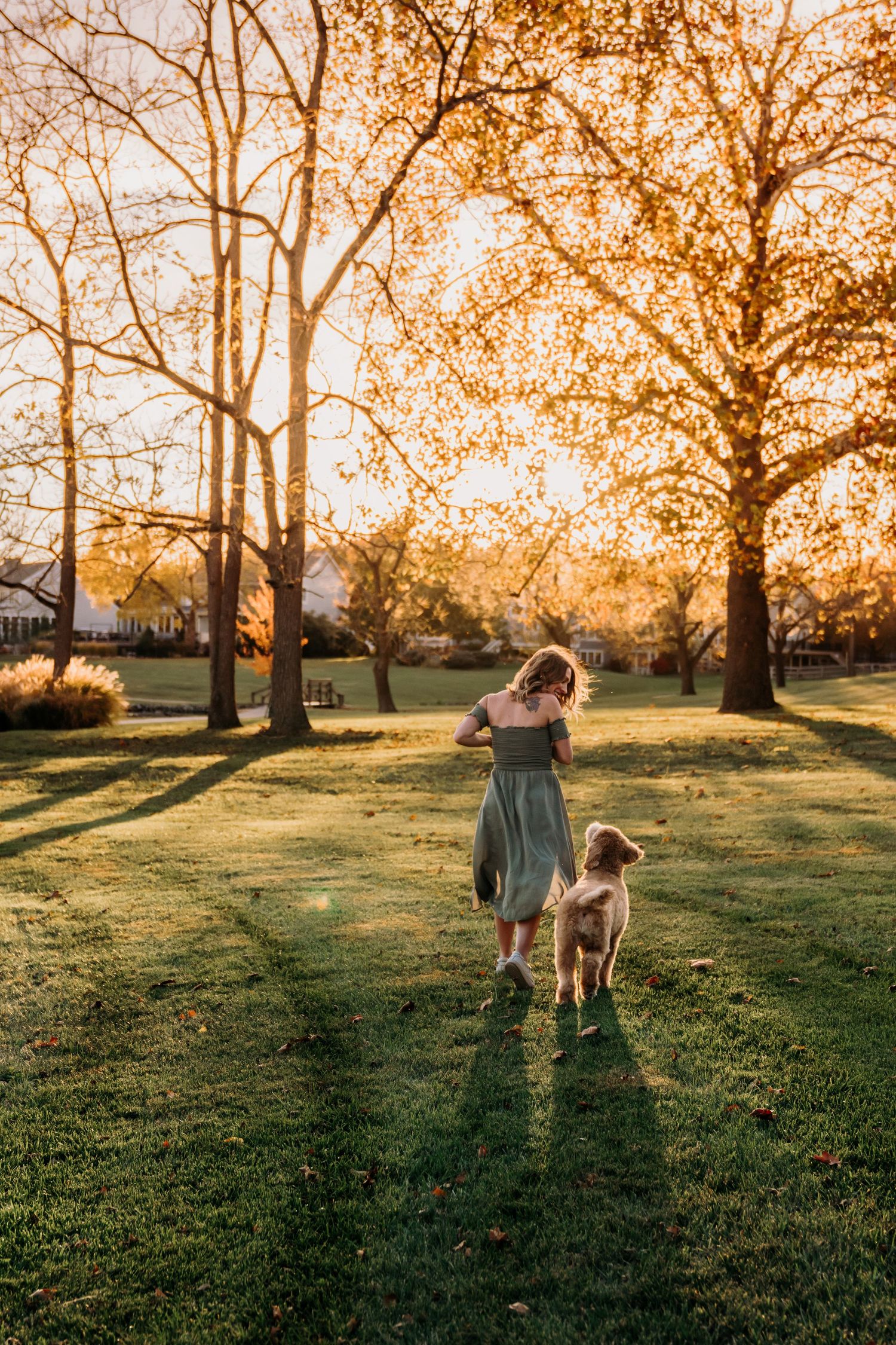 woman running into the sunset with her goldendoodle dog. taken by a local pet photographer in Cincinnati, Ohio. 
photographer near me