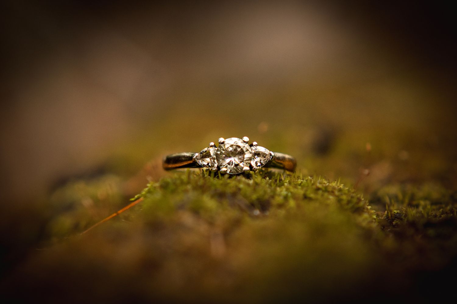 A stunning round cut engagement ring with 3 stones