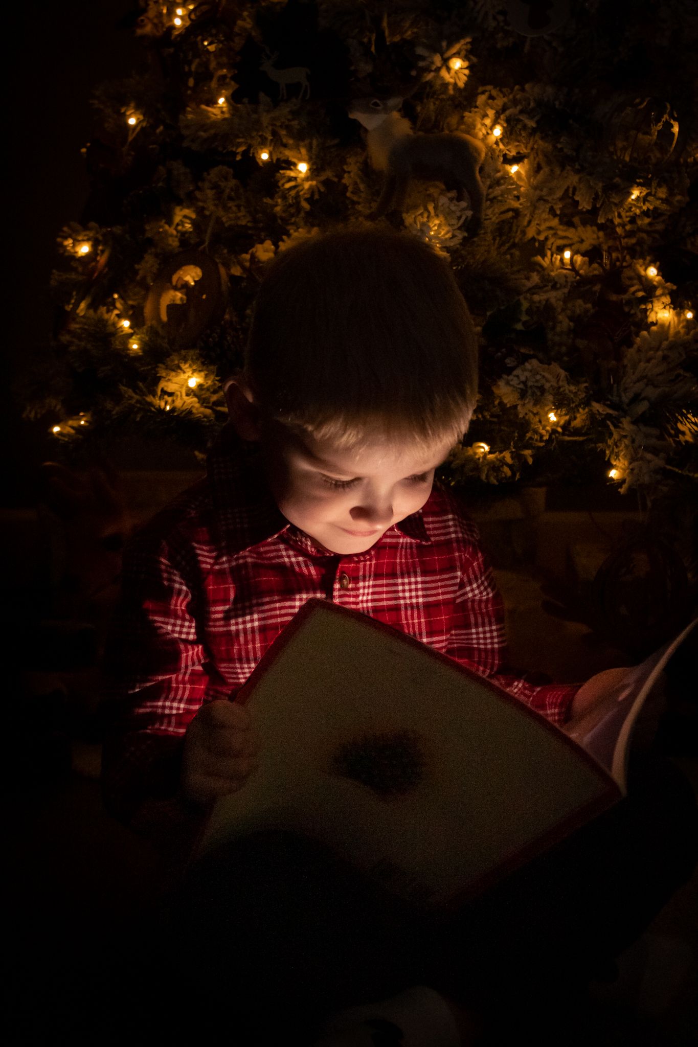 Child reading book by Christmas tree lights creating magical glow.
