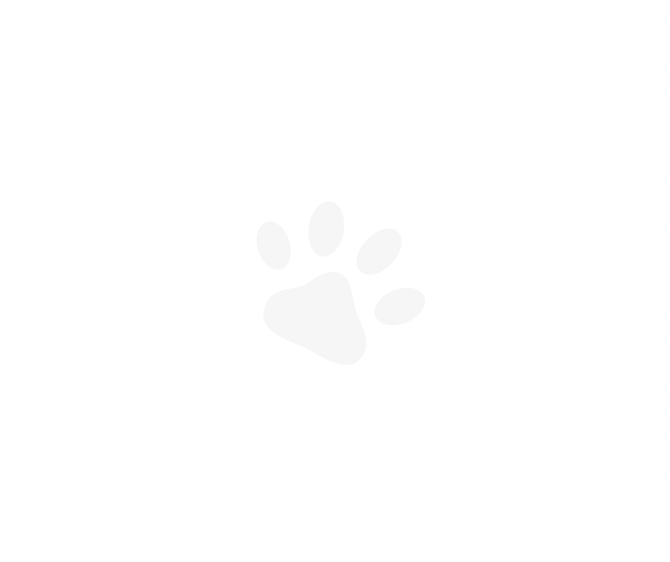 White paw print silhouette isolated on white background.