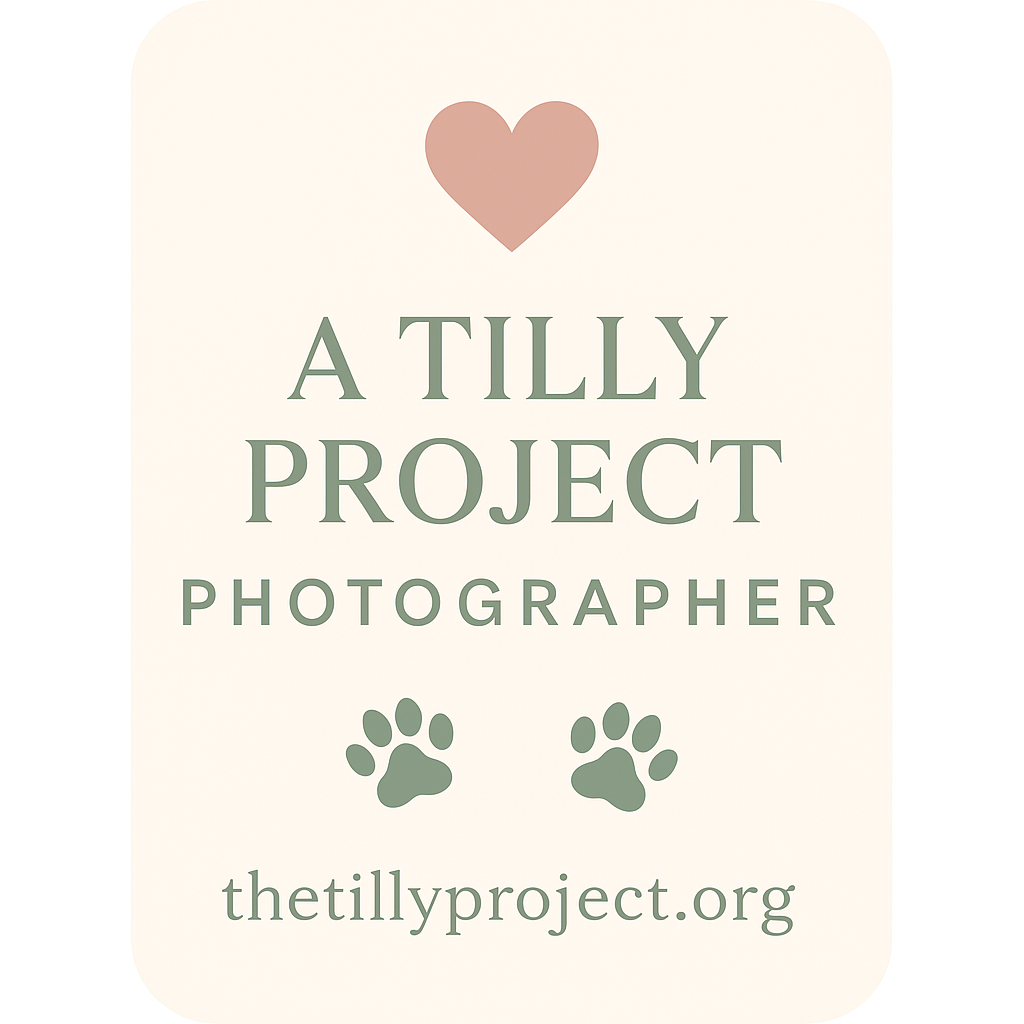 Pet photography logo with pink heart and green paw prints.