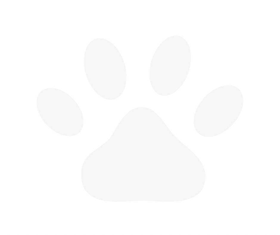 Simple white paw print icon on plain background.