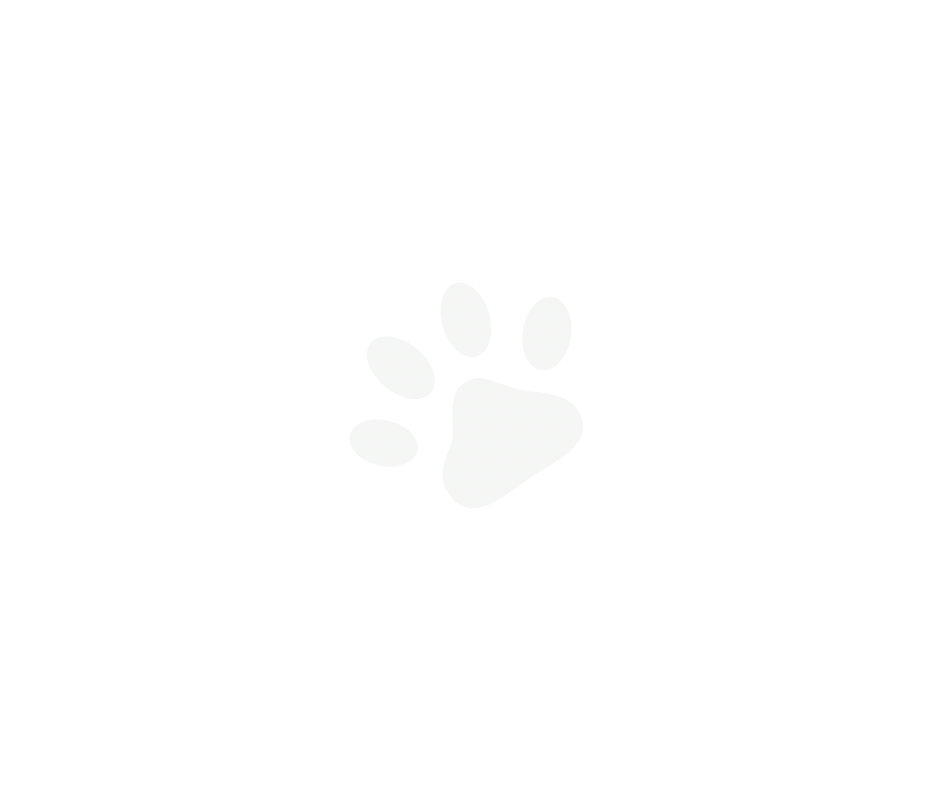 White pet paw print symbol on blank background.