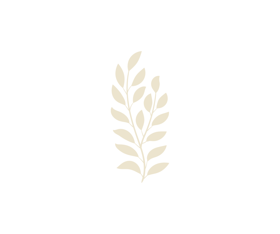 A minimalist beige botanical leaf illustration on white background.