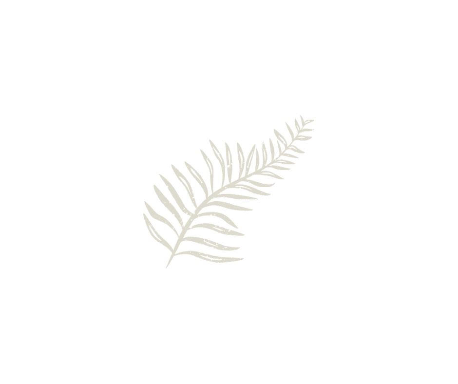 Two overlapping fern leaf illustrations in soft beige on white background.