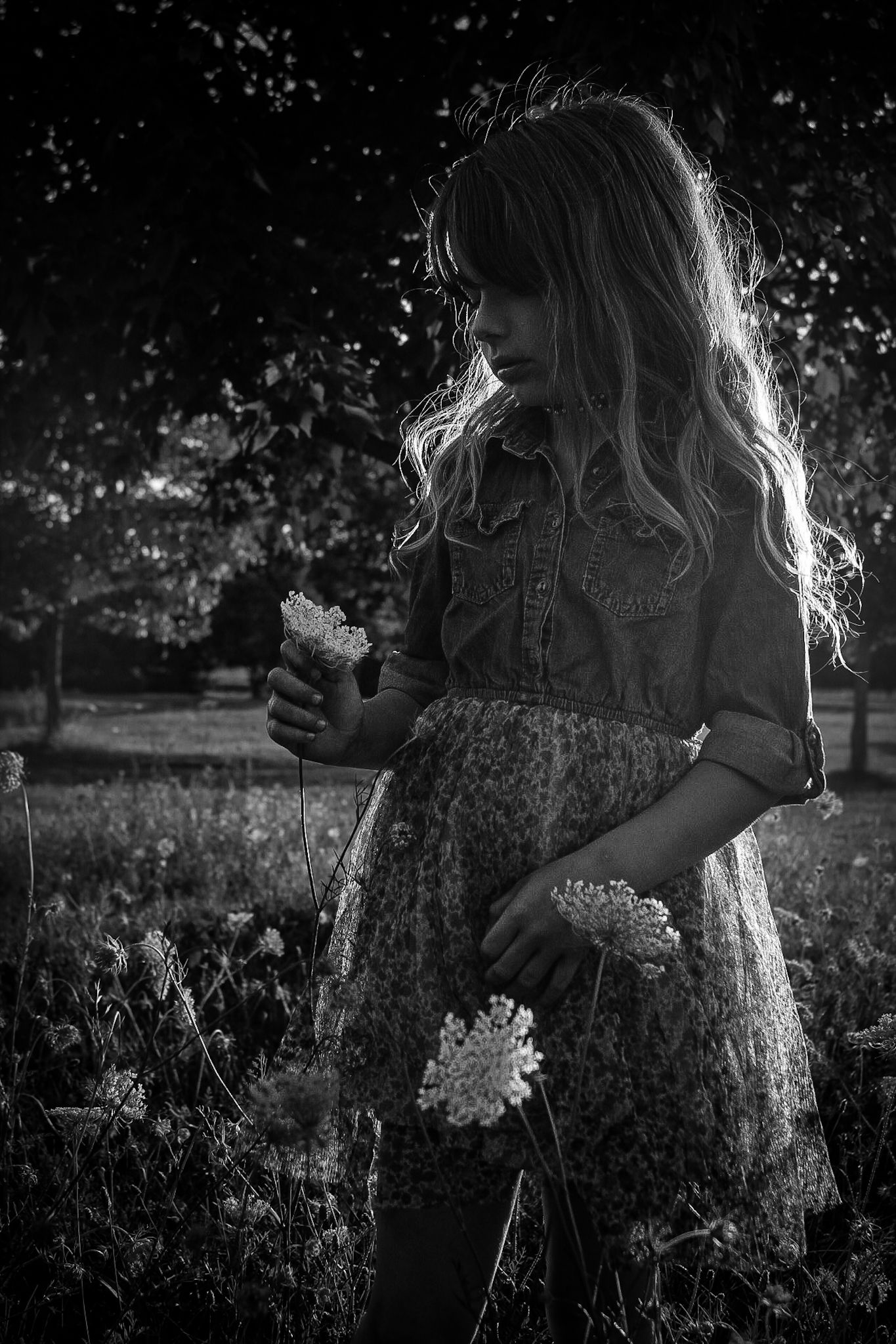 Dreamy black and white image of someone in a floral dress picking wildflowers in nature.