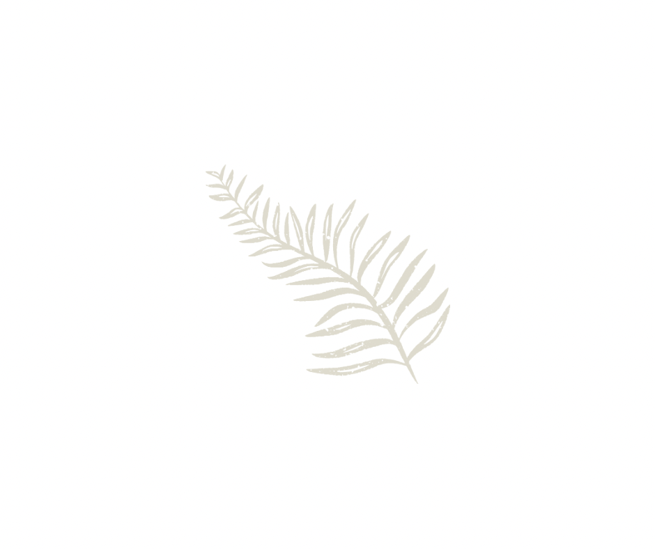 A delicate light beige fern leaf design element on white background.