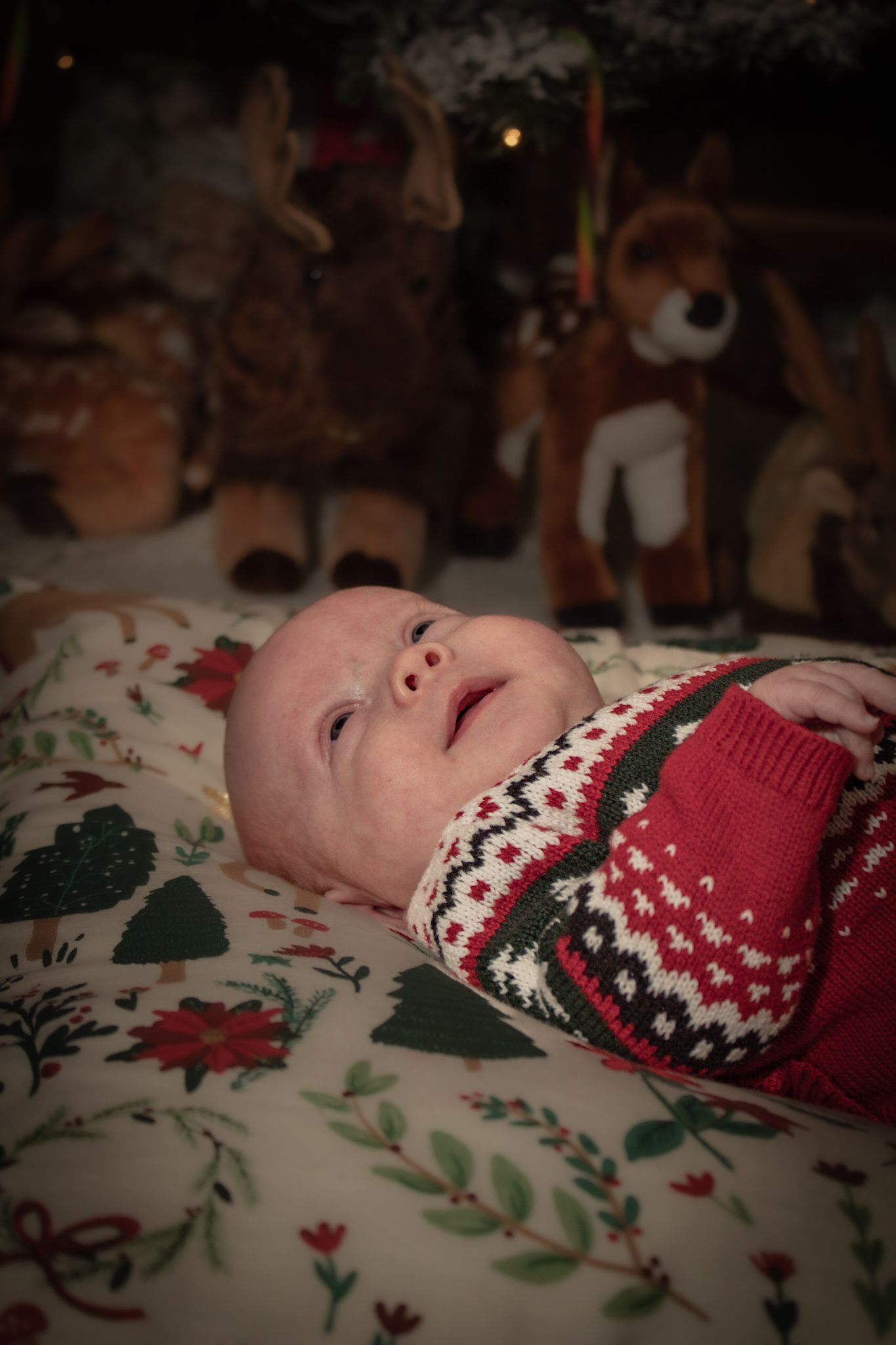 Baby in holiday sweater lying on festive blanket with stuffed animals in background.