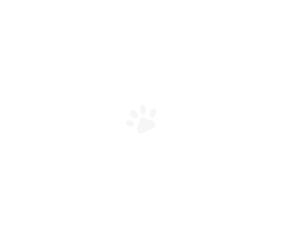 Minimal white paw print design on clean background.