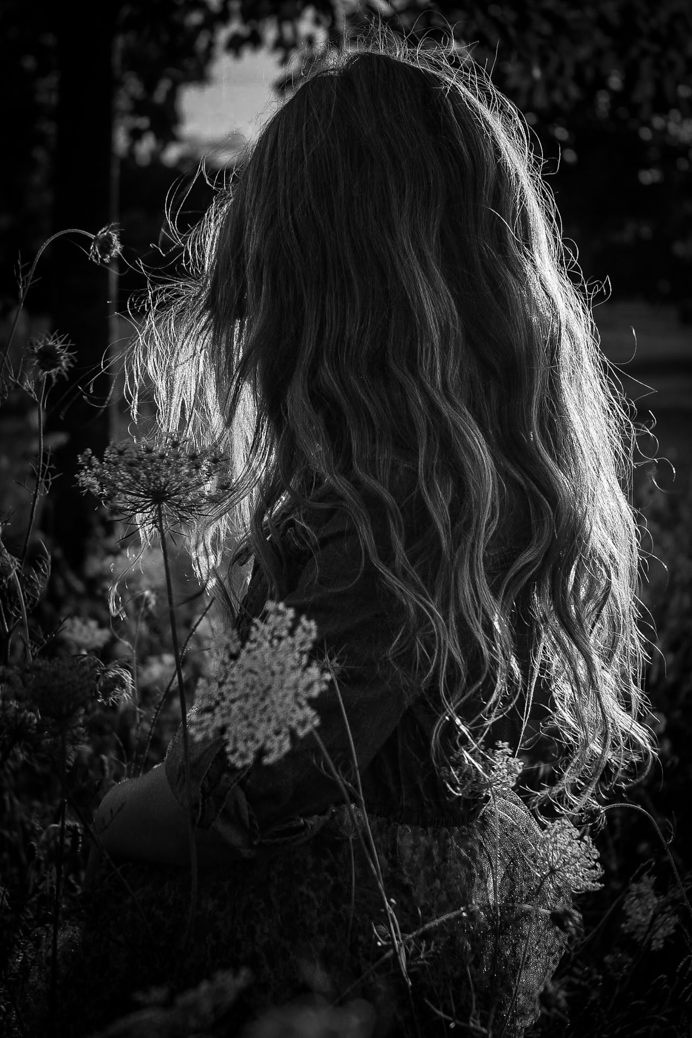 Black and white silhouette showing long wavy hair backlit among wild Queen Anne's Lace flowers.