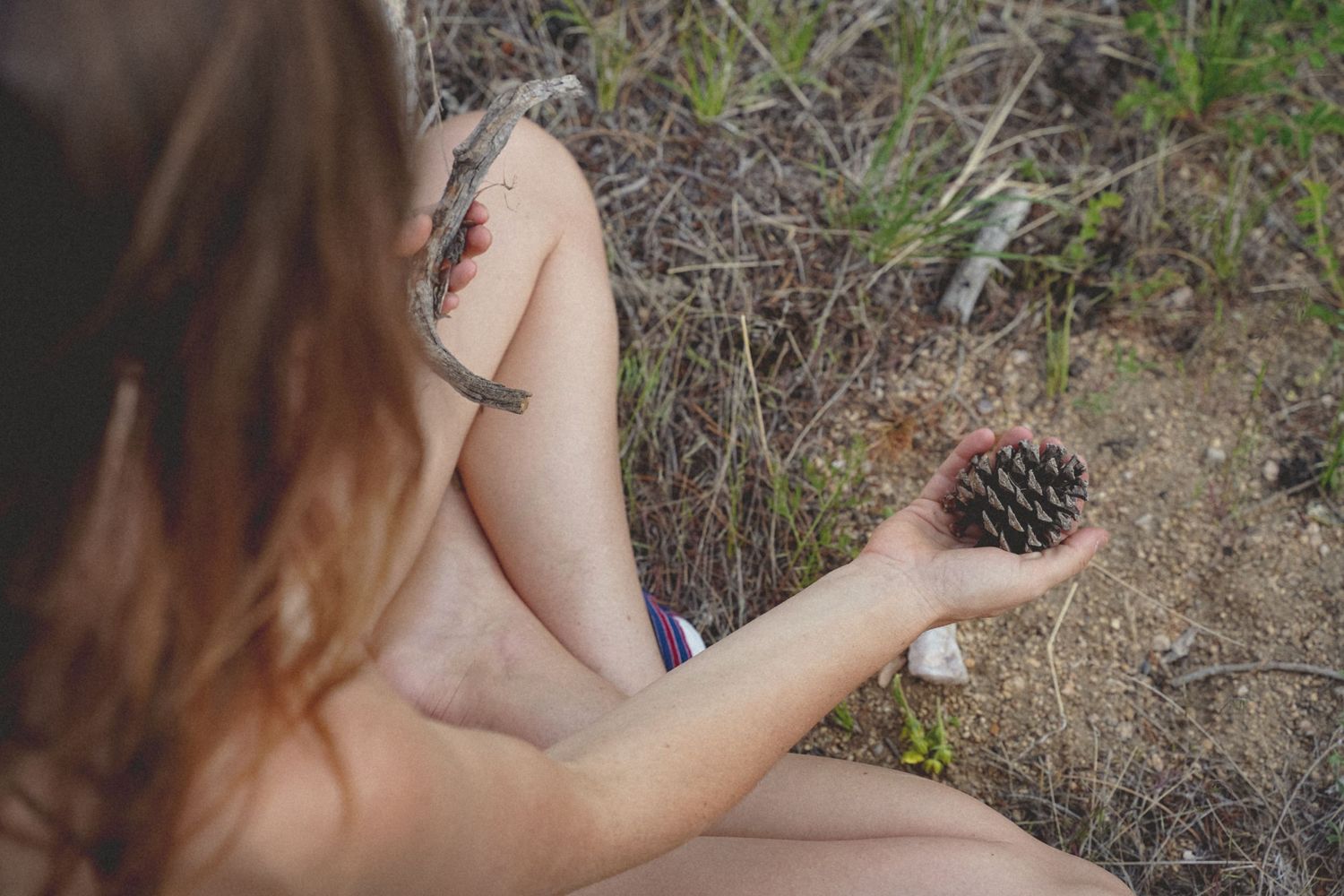 Hand holding pine cone against natural outdoor background.