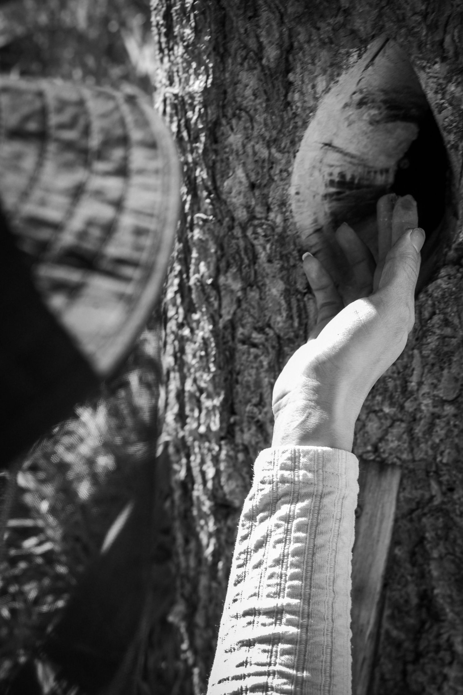 Close-up black and white photo of hand touching rough tree bark.