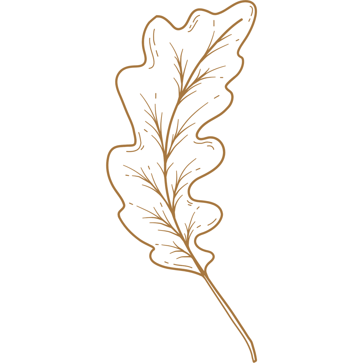 Detailed hand-drawn oak leaf illustration with delicate veins in warm copper tones.