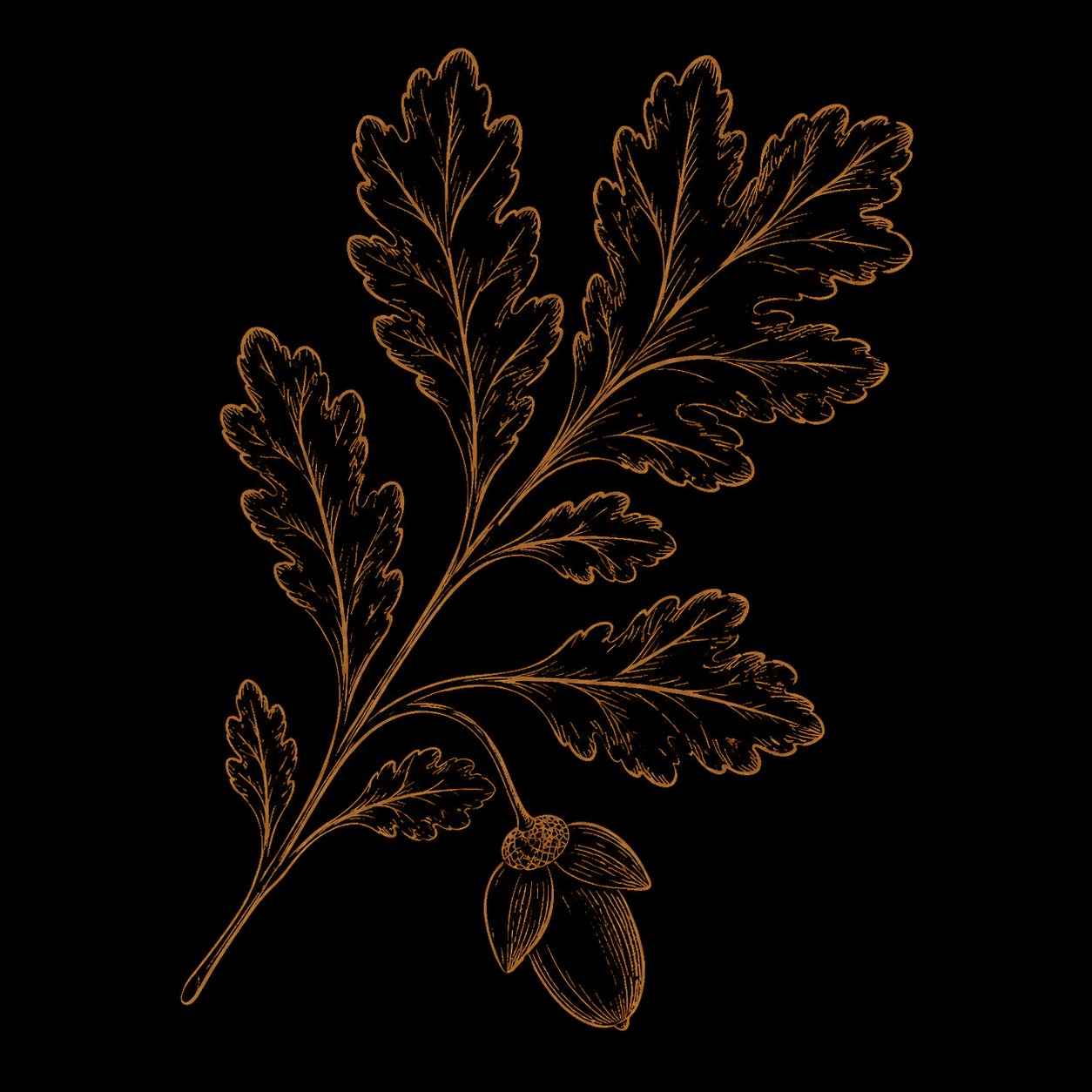 Gold illustrated oak branch with acorn on black background decorative botanical line art design.