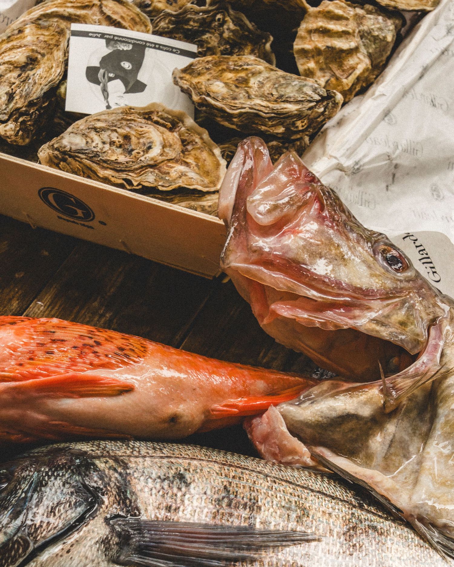 Fresh whole fish and oysters displayed on a wooden seafood market counter.
