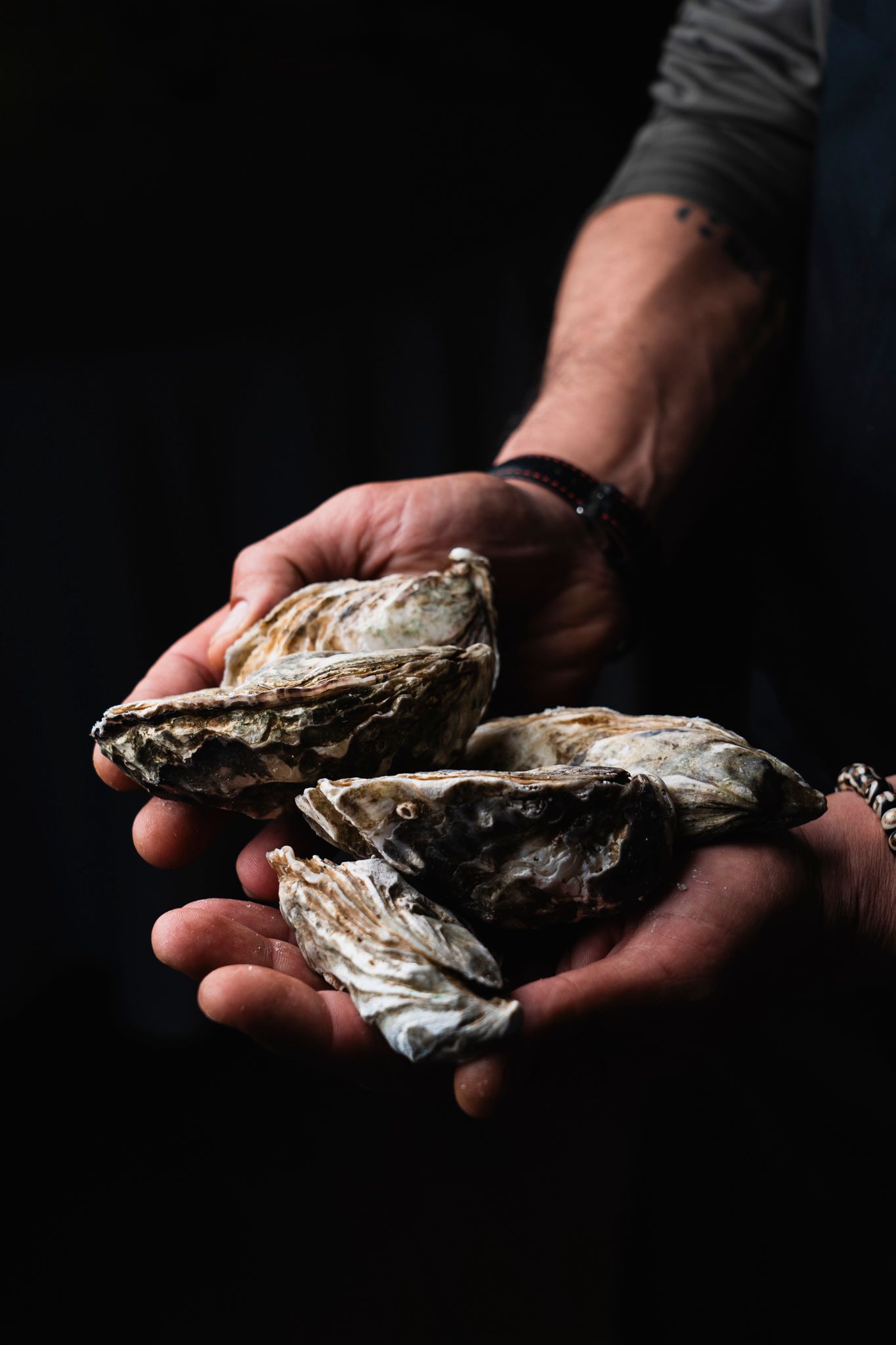 Hands holding fresh raw oysters with rugged shells against a dark background.