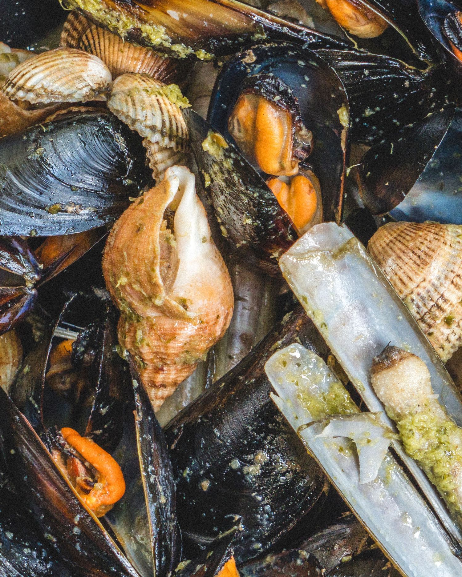 Close-up of freshly cooked mixed shellfish including mussels, clams, and razor clams.