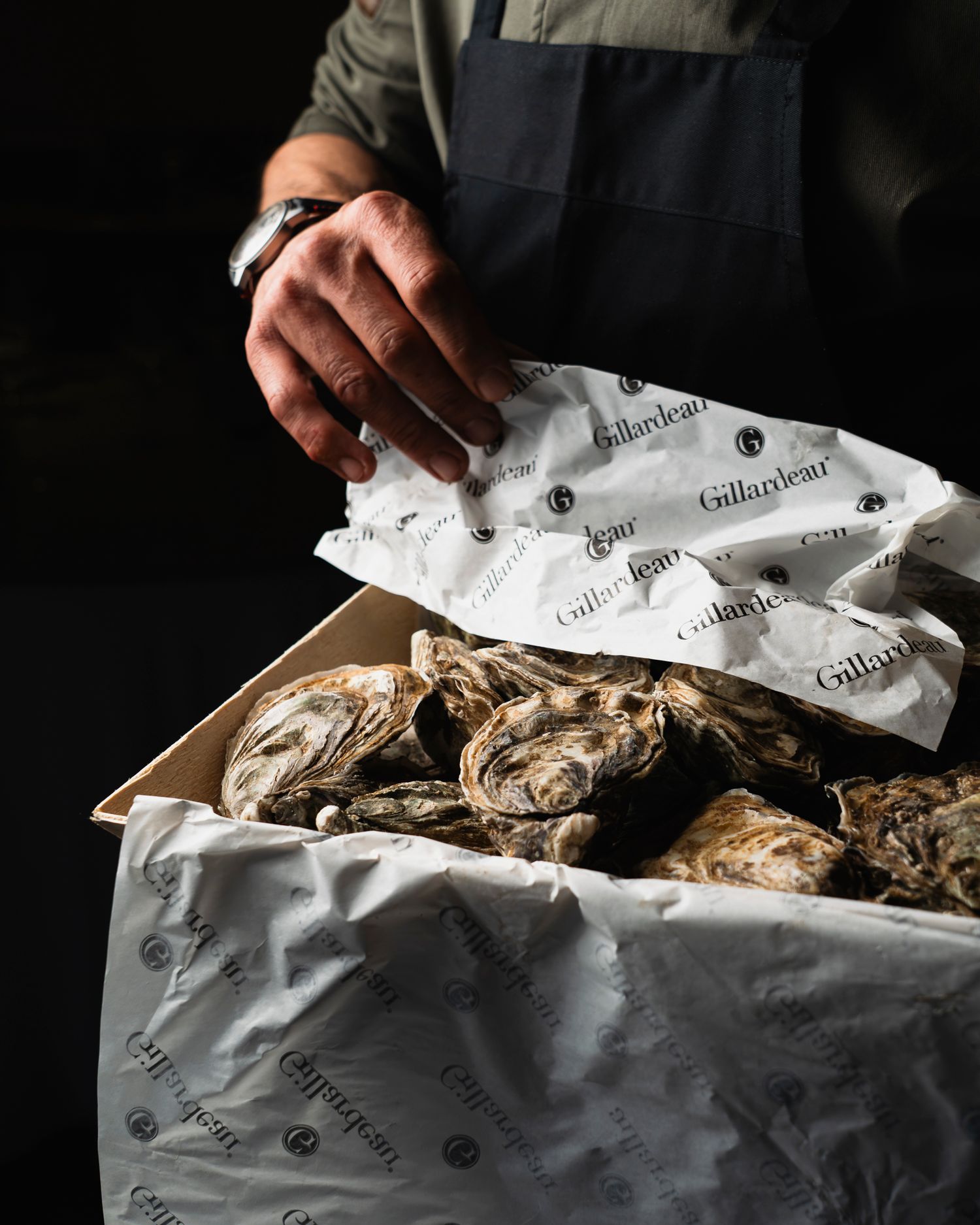 Chef opening a box of fresh Gillardeau oysters wrapped in branded tissue paper.