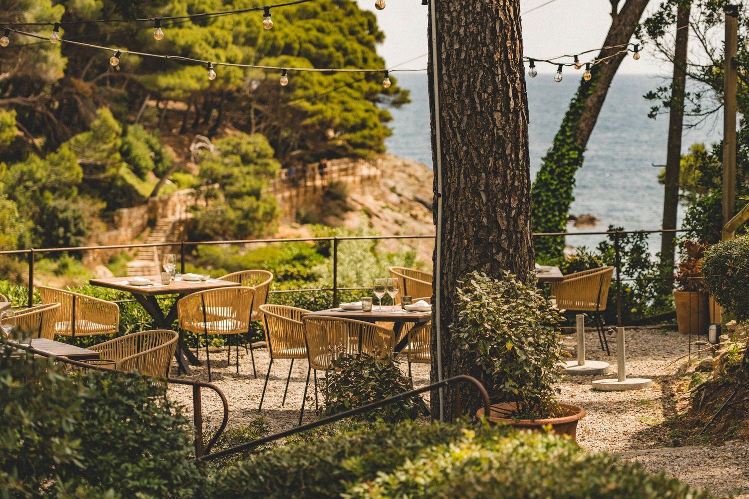 Charming outdoor restaurant terrace with wicker chairs, string lights, pine trees, and scenic sea view.
