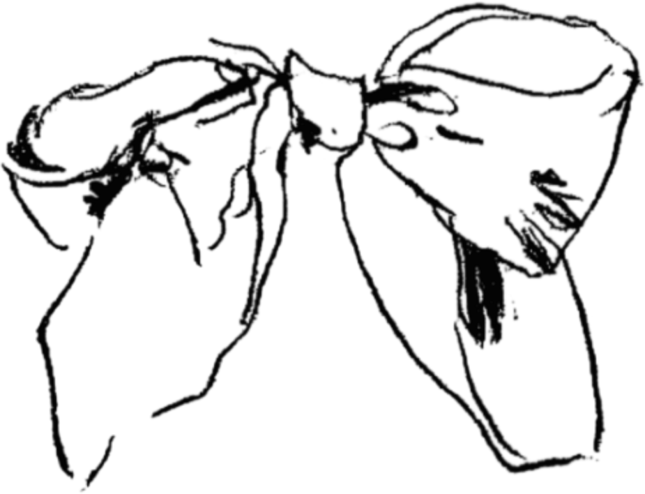 Black and white sketch illustration of an elegant decorative ribbon bow with flowing loops and tails.