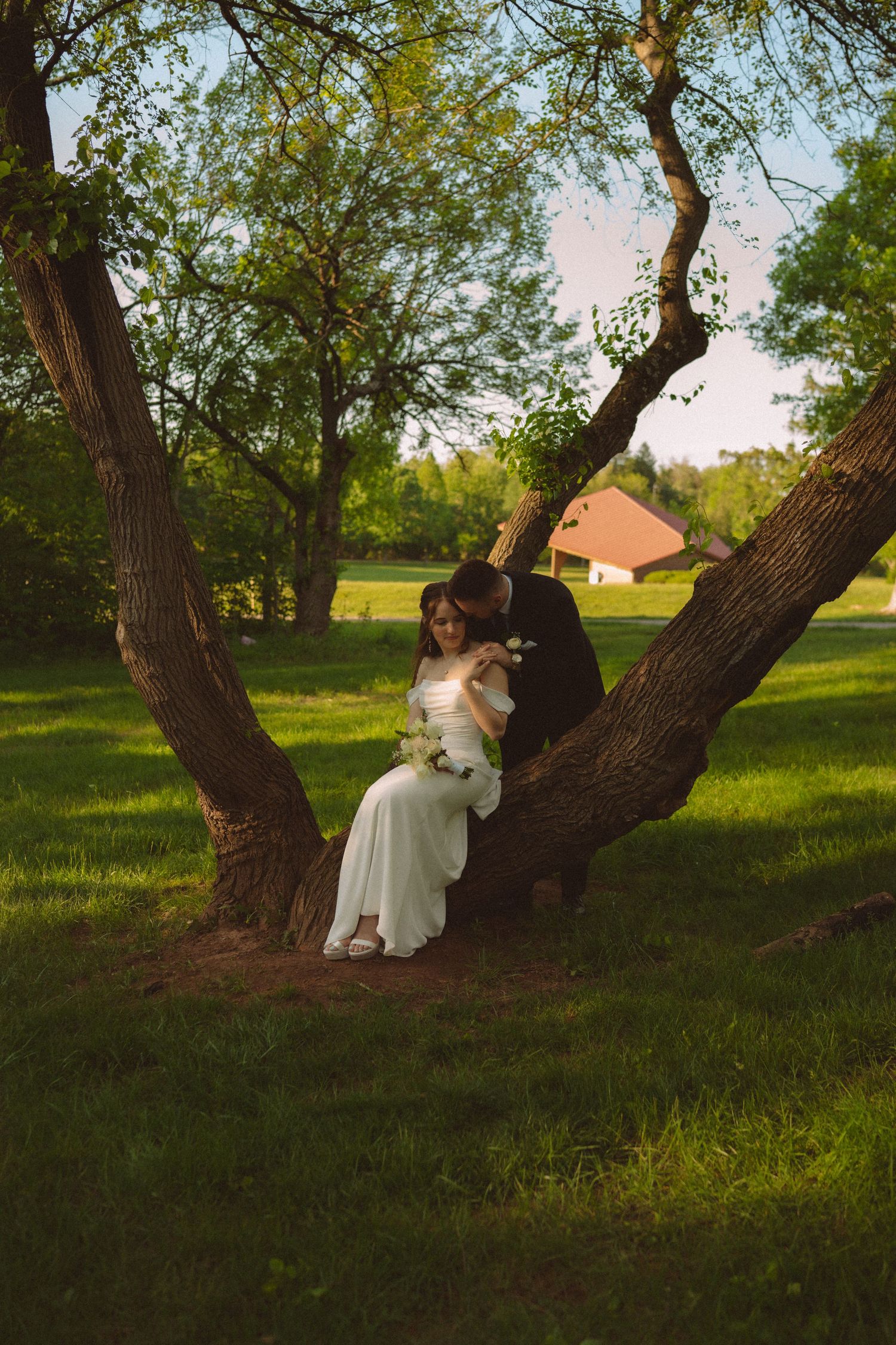 Bride and groom share a romantic moment sitting in a tree fork surrounded by lush green grass and trees.