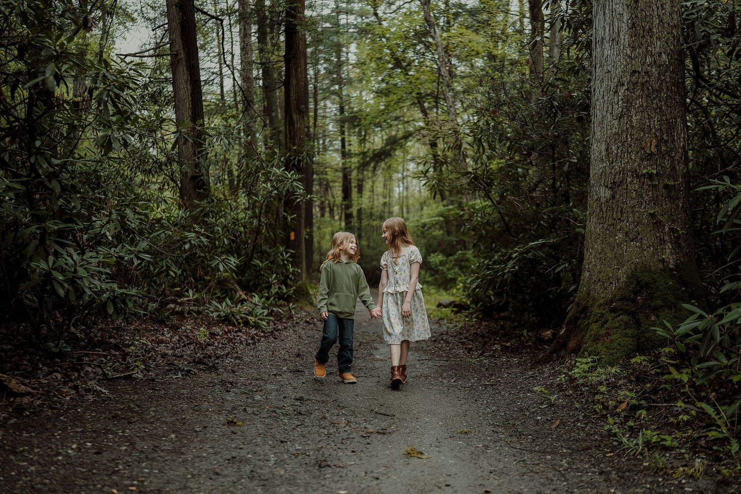 Two children walk hand-in-hand on a forest path surrounded by tall trees and lush green foliage.