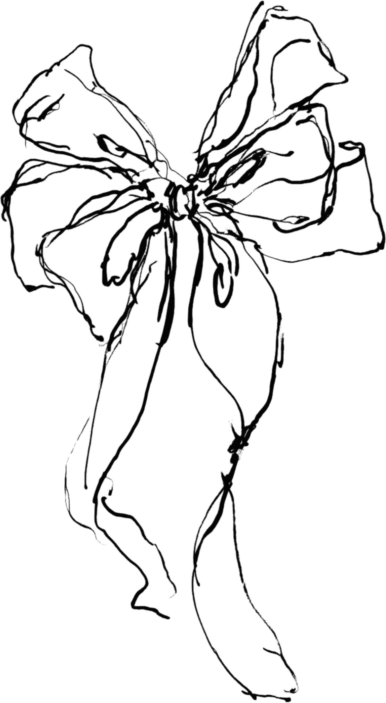 Elegant hand-drawn sketch of a decorative ribbon bow with flowing tails in black ink on white background.