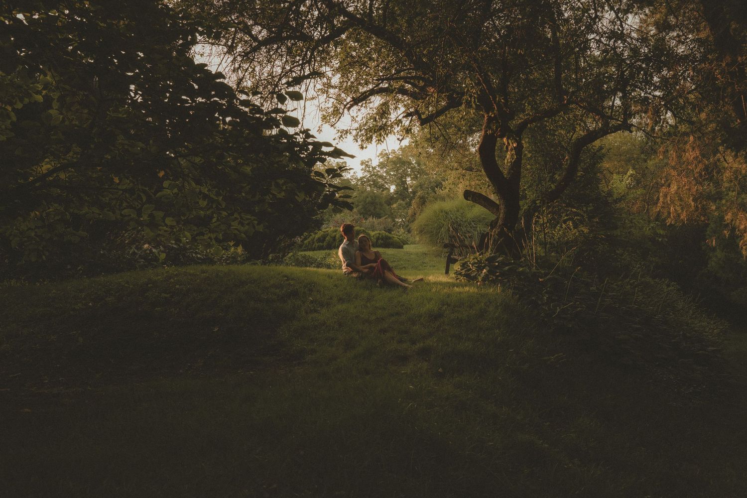 Two people sitting on lush green grass beneath a large tree in a serene, sunlit garden setting.