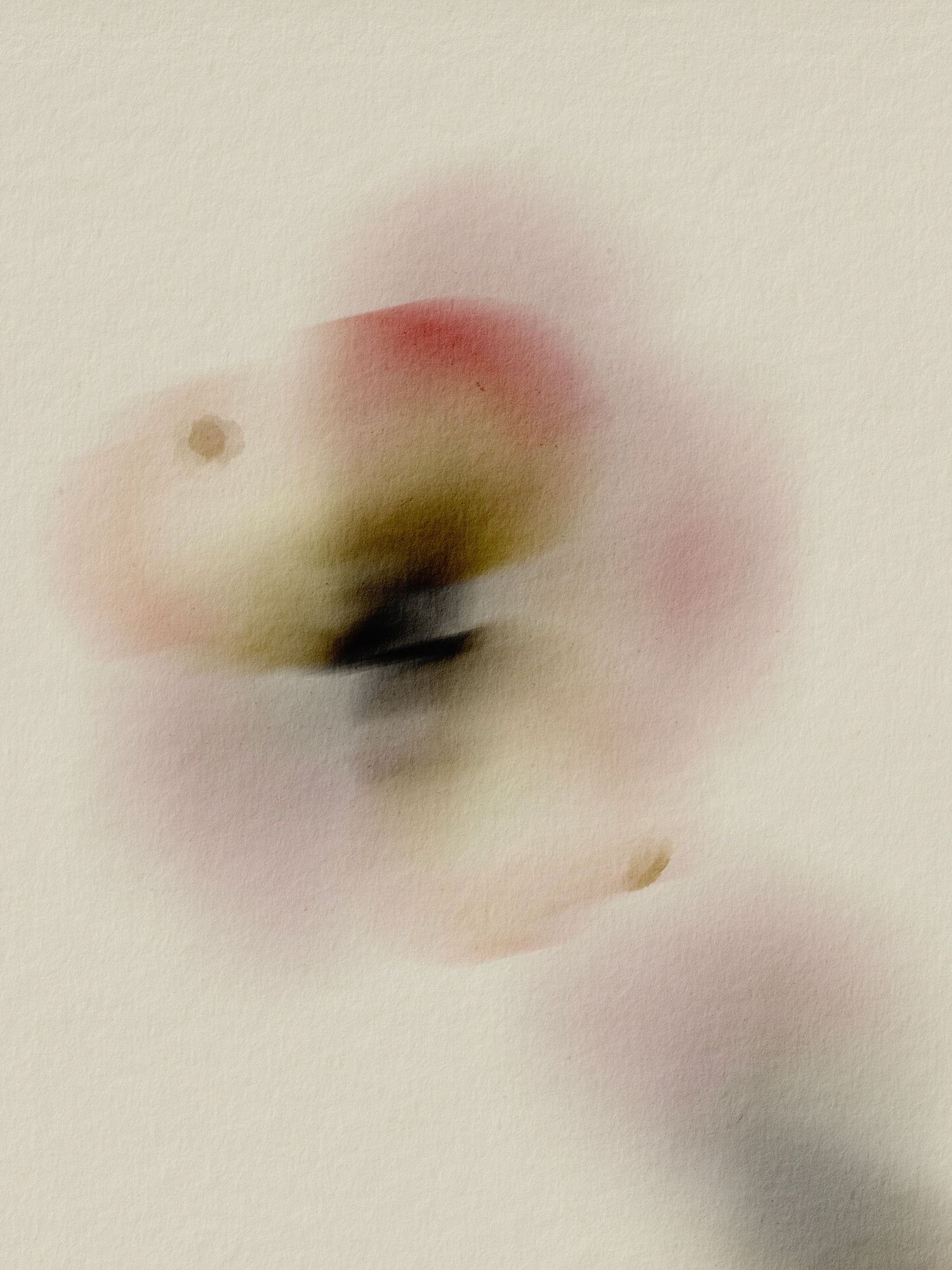 Abstract blurred art print featuring soft pink, red, and olive tones forming an organic shape on a cream background.